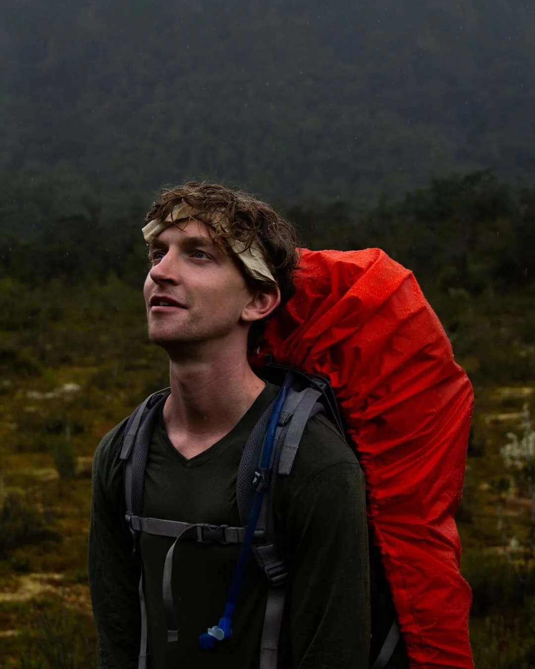 Something a bit different today! Last week I hiked the incredible Milford track and managed to keep my camera dry enough to take some photos! Those photos are on my patreon now, so if you fancy throwing me $3 a month for my work please check it out (