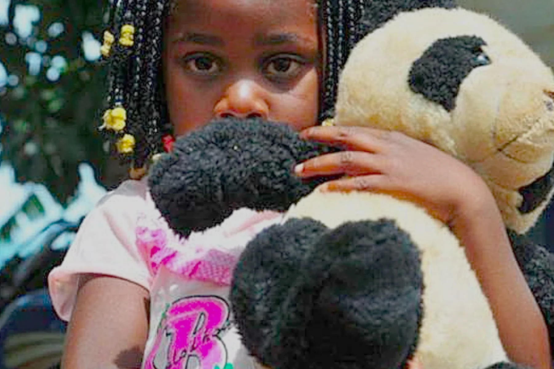 A bear arriving in Africa