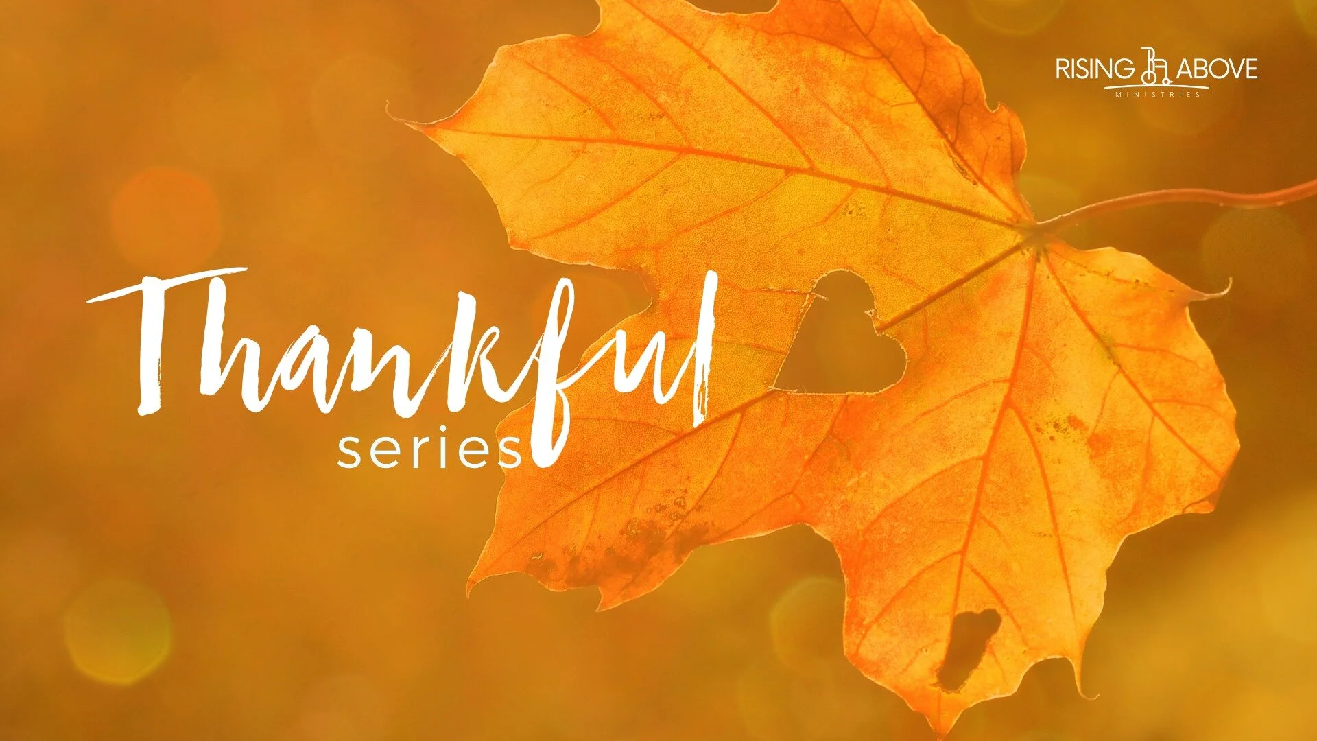 Thankful Video Series