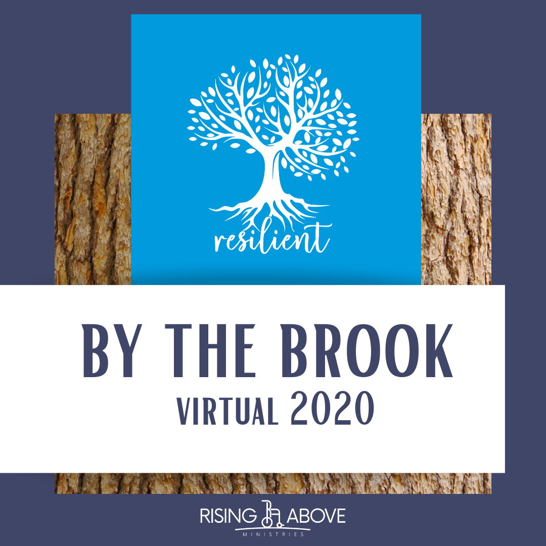 By the Brook 2020 is ALMOST here! 