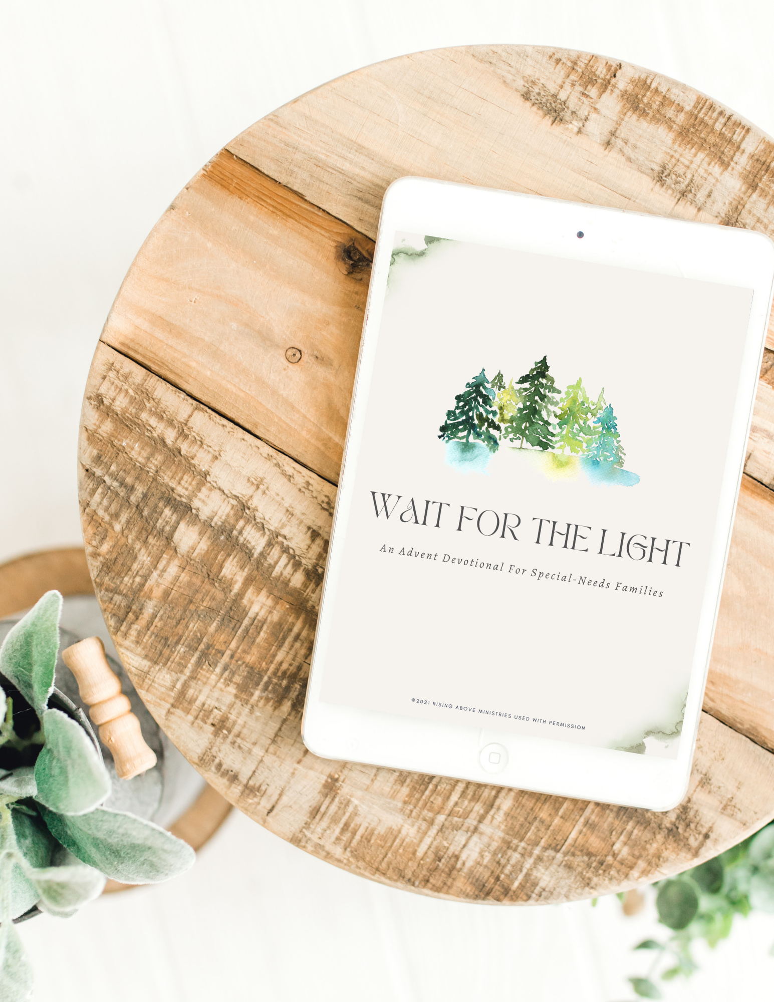 Wait for the Light: An Advent Devotional for Special-Needs Families