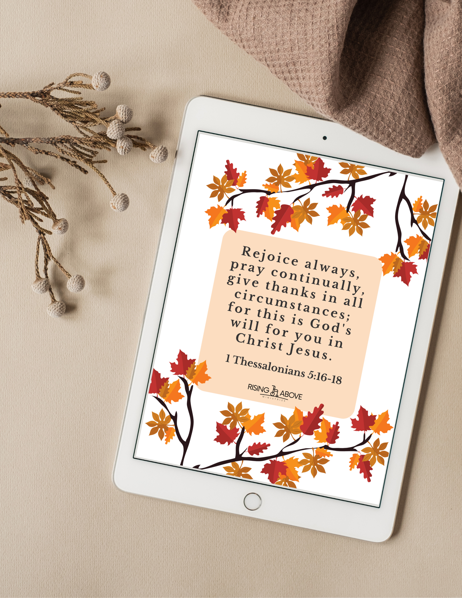 November Family Downloads 