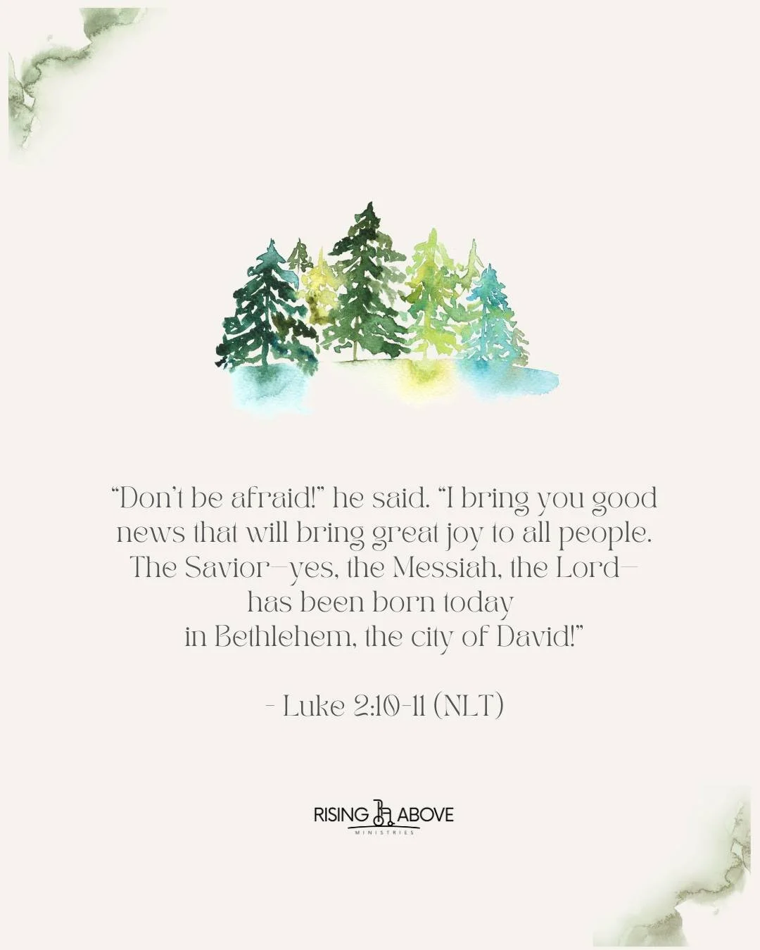 Advent, the final week. ⭐