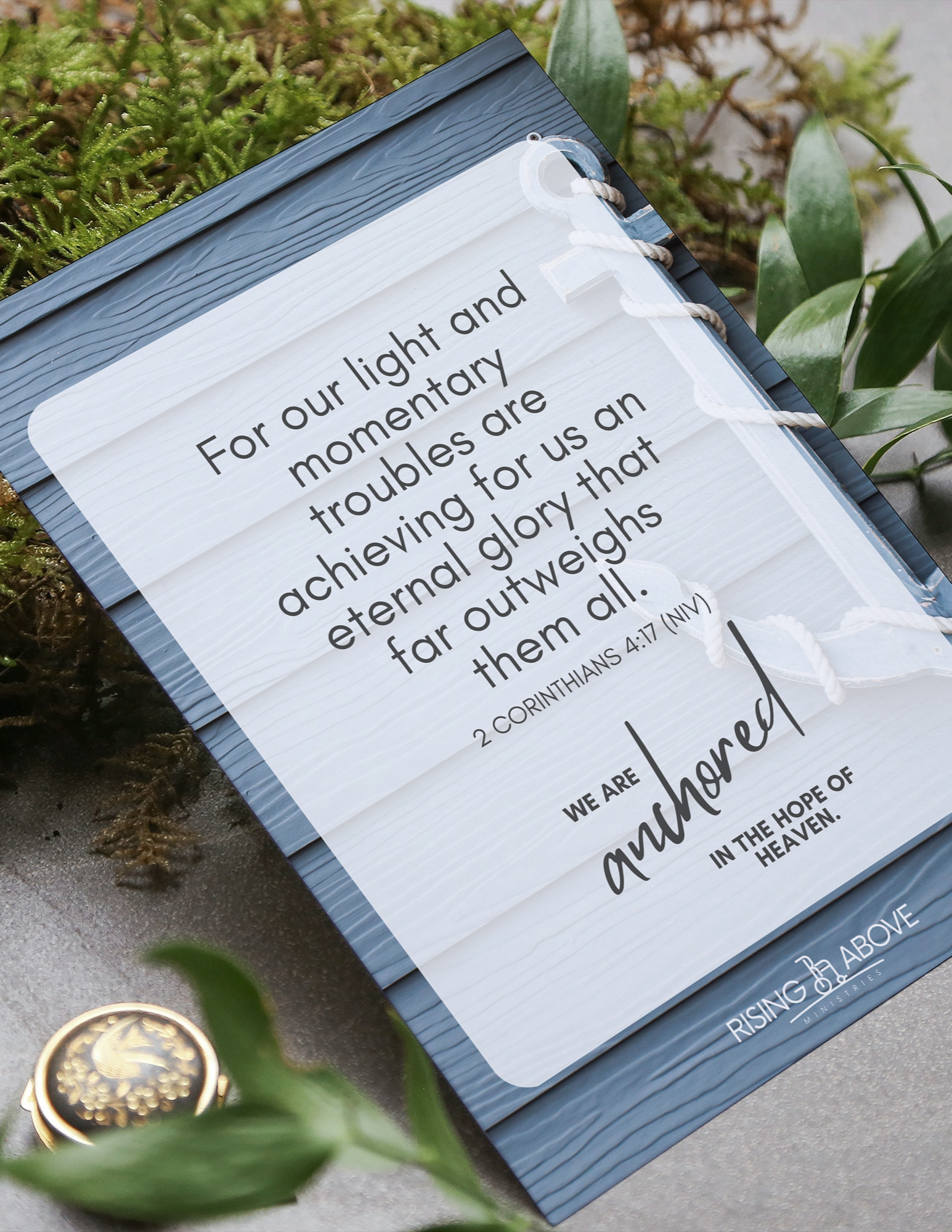 May Family Downloads