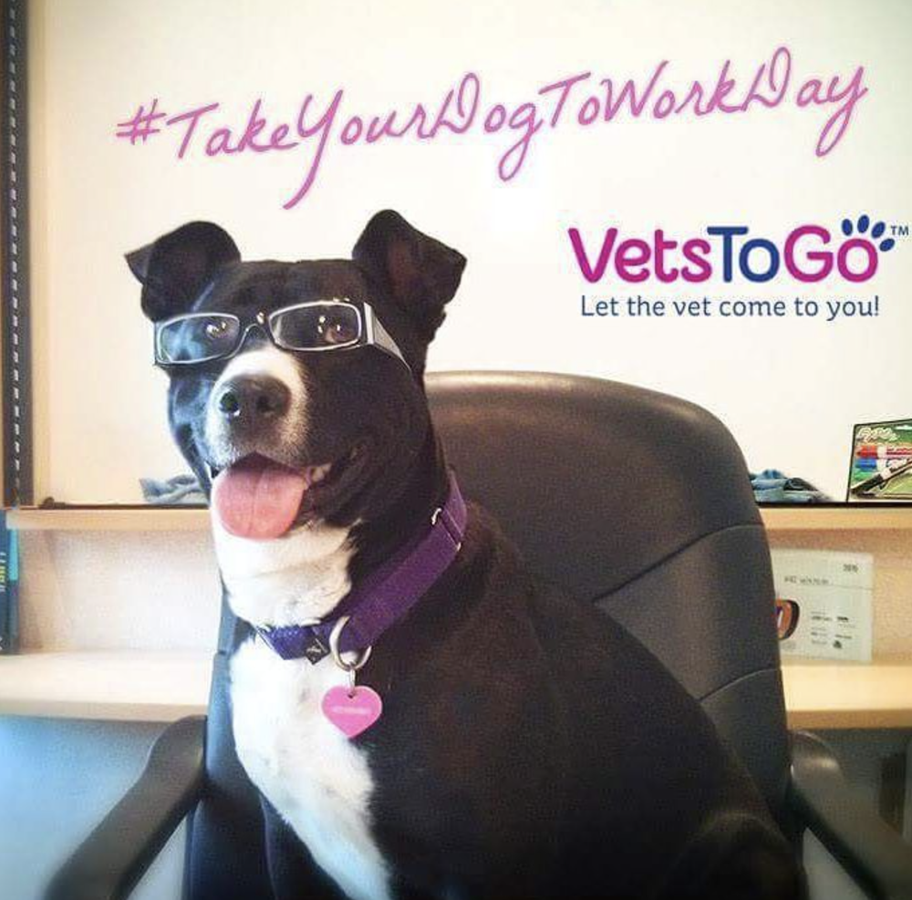 Screenshot 2025-02-20 at 7.21.43 PM.png