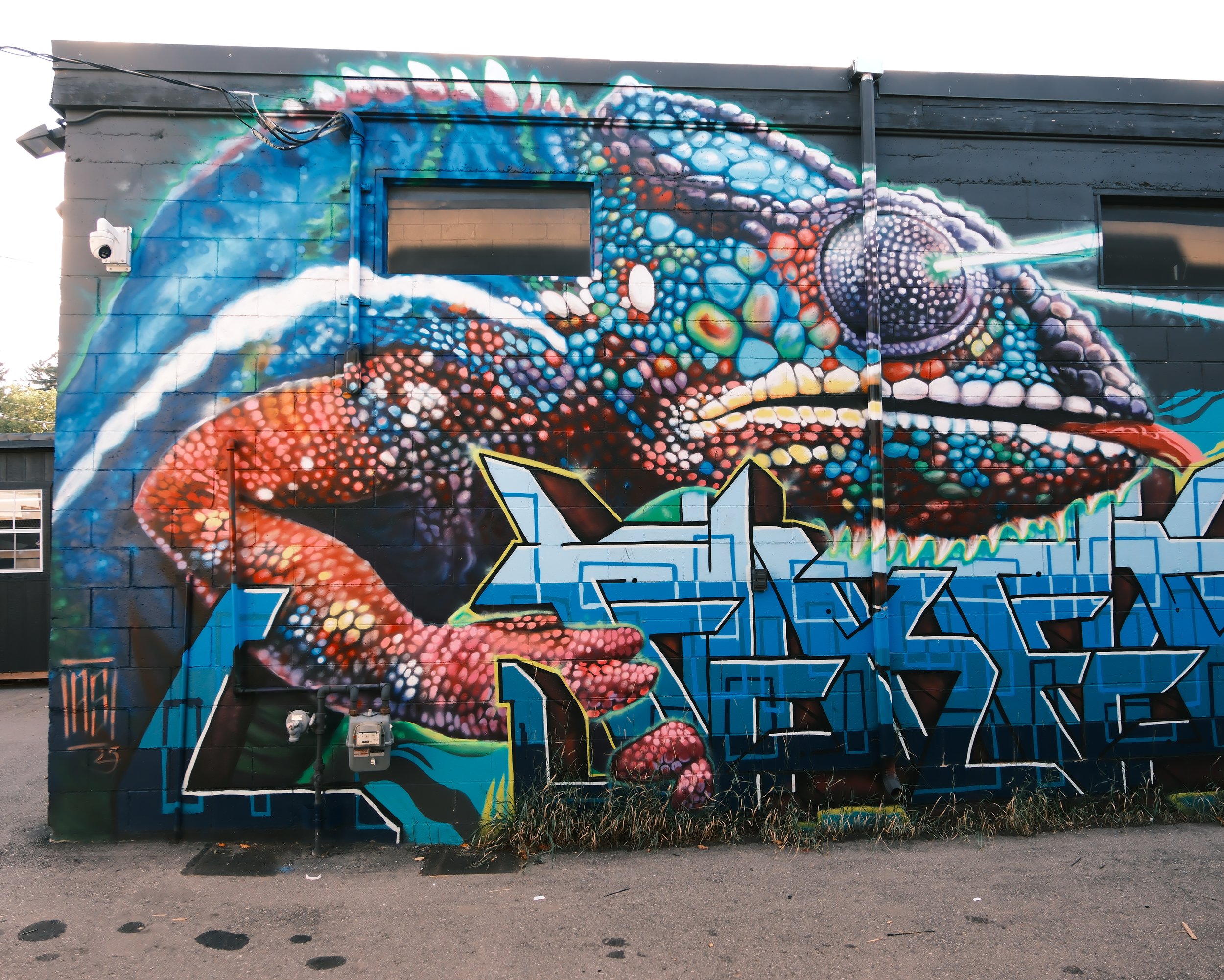 DSCF8511.JPG