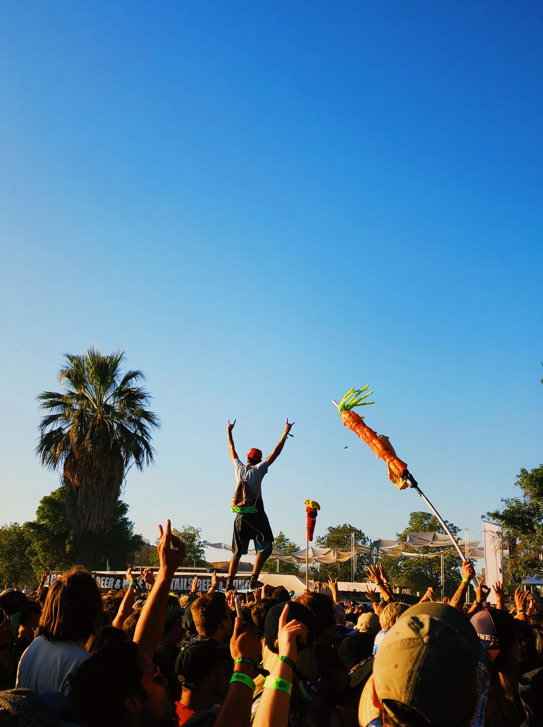 Desert Daze Round Two: No Photo Pass No Problem