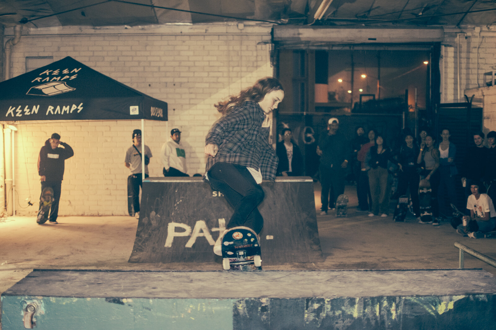 The Paranoyds - Museum of Skateboarding - by Frank Mojica8.jpg