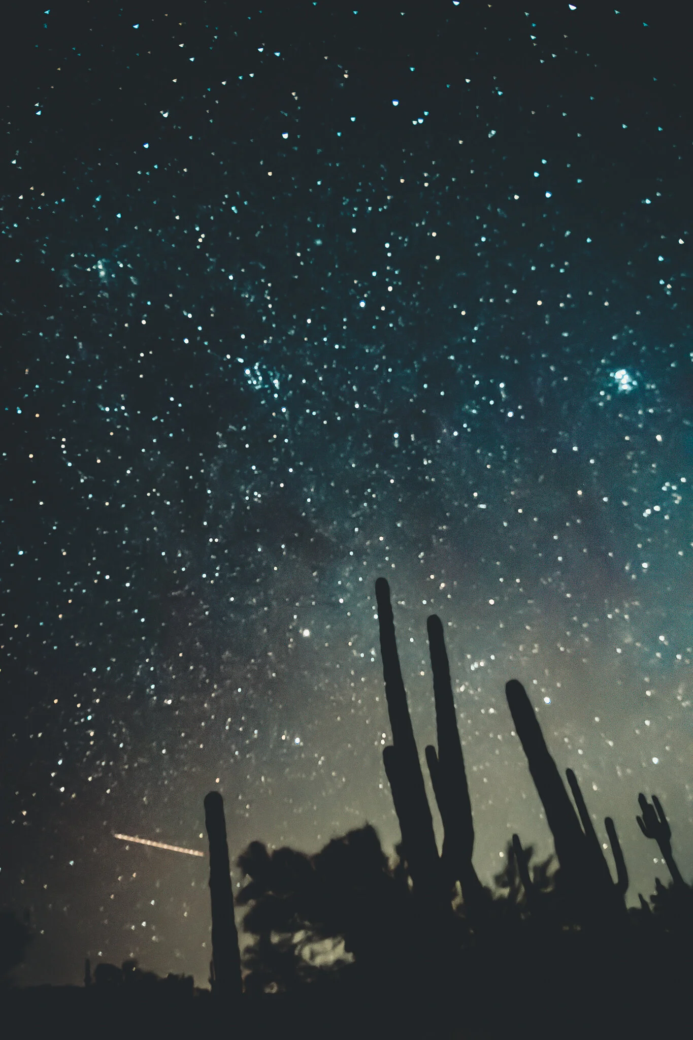 20201111-untitled shoot-023.JPG