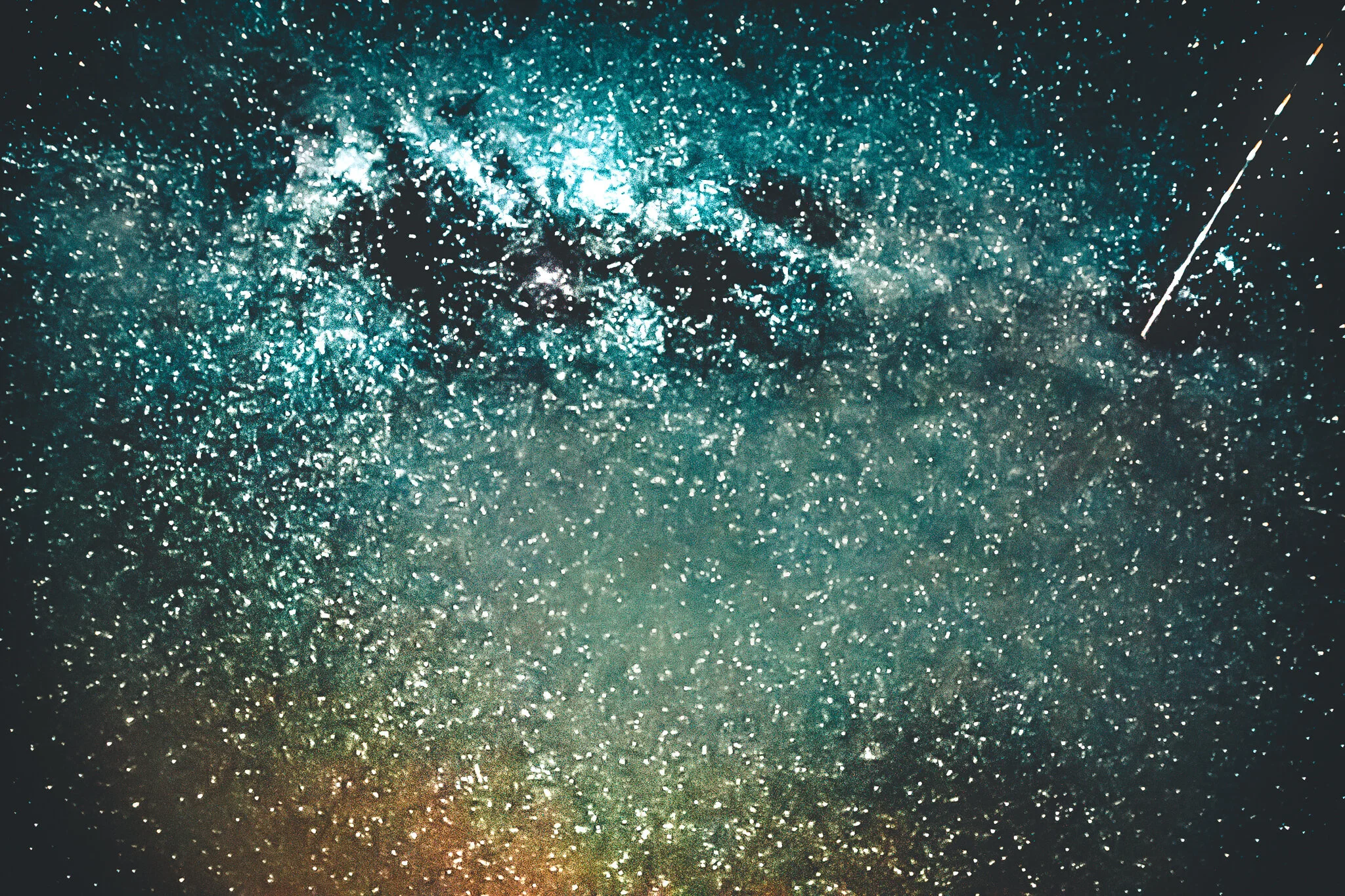 20201111-untitled shoot-026.JPG