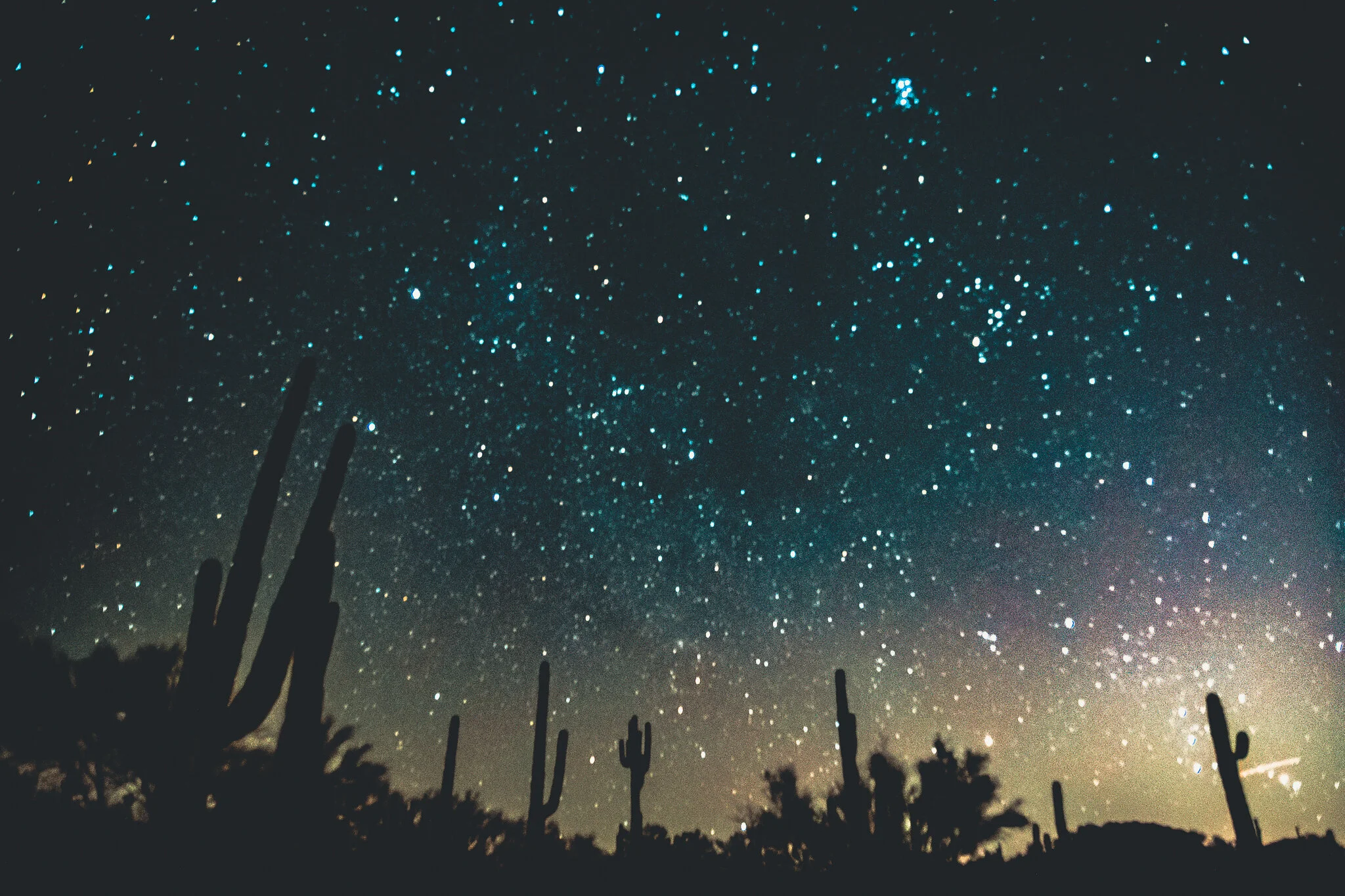 20201111-untitled shoot-041.JPG