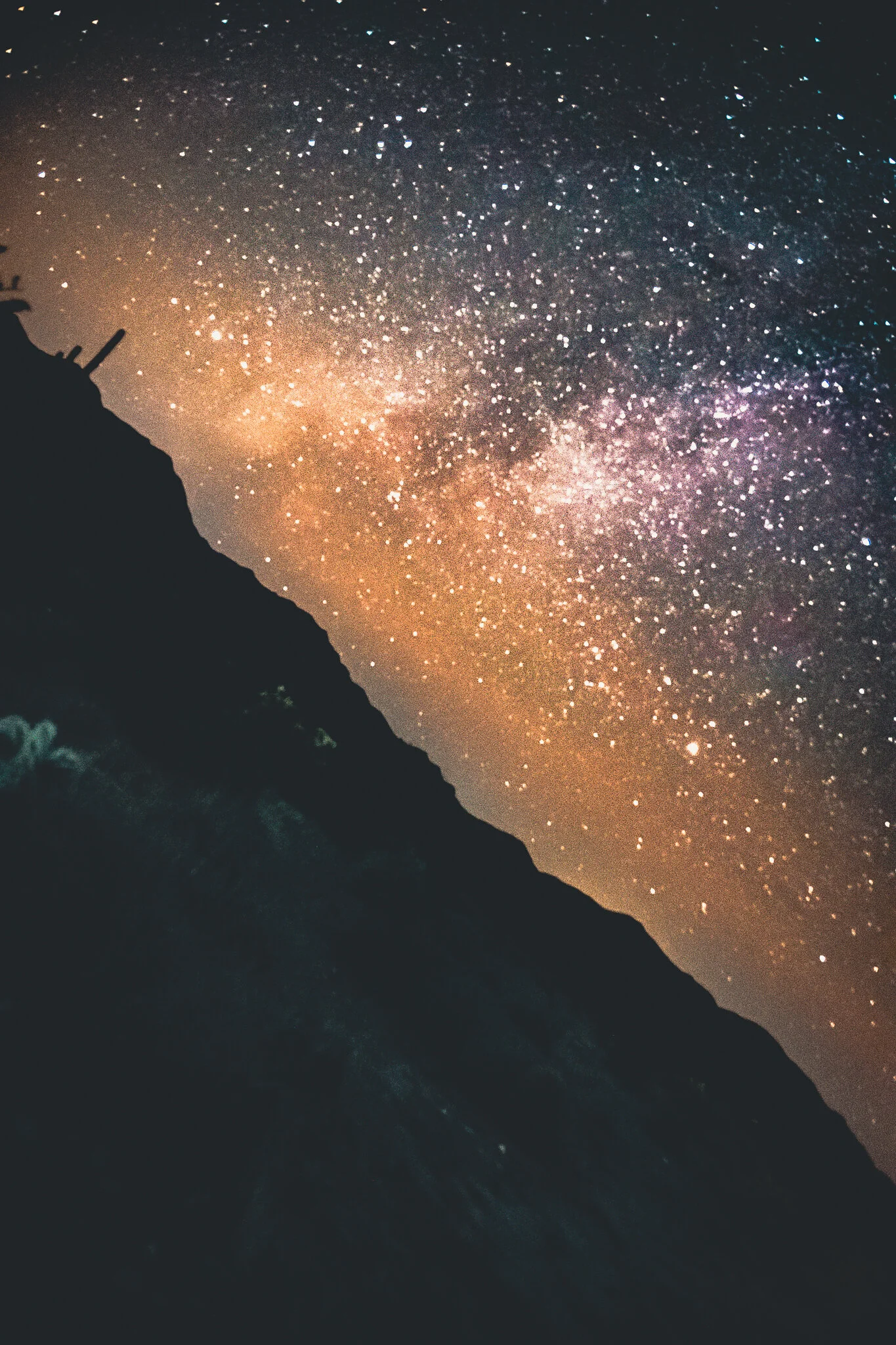 20201111-untitled shoot-054.JPG