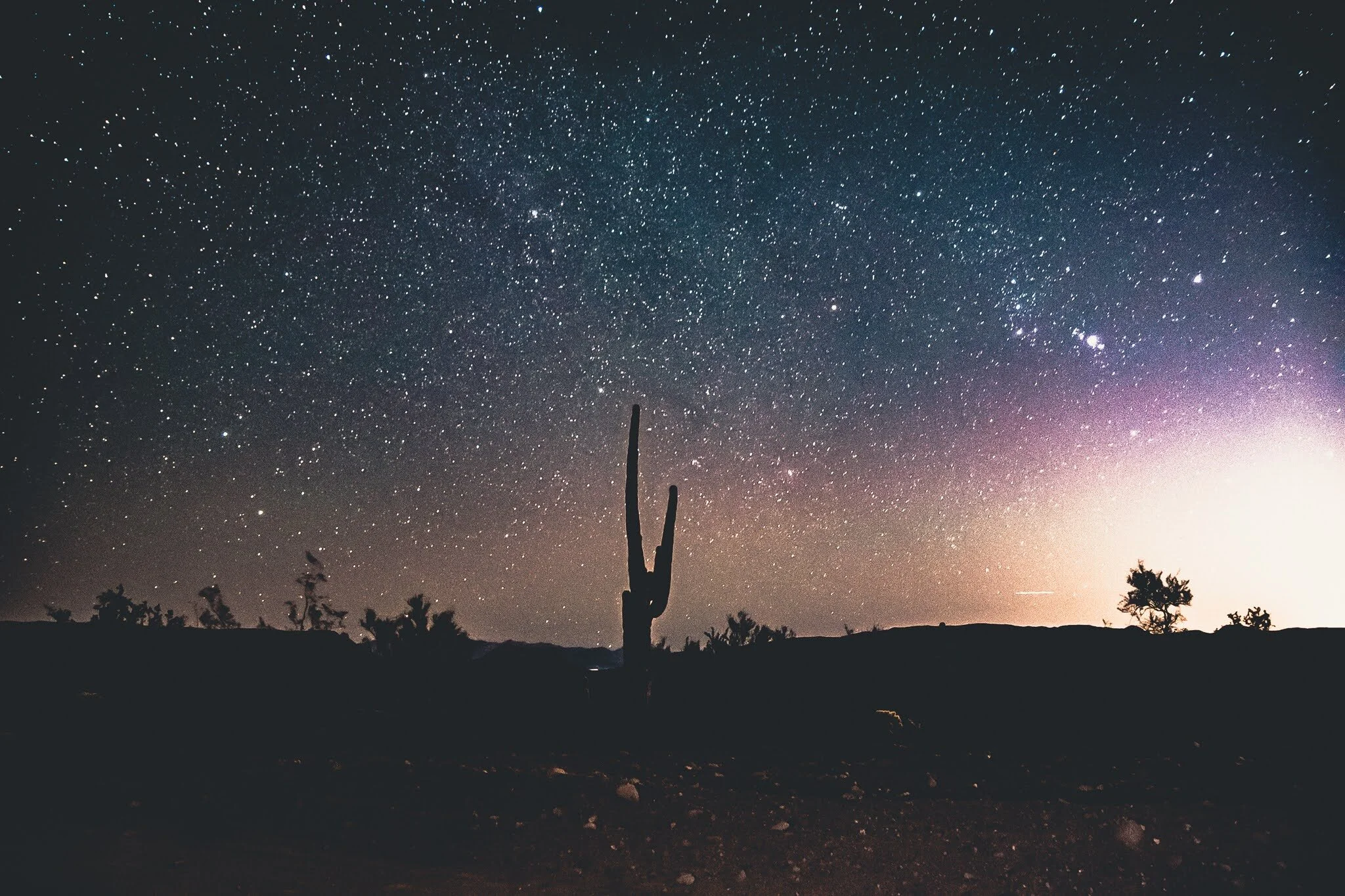 20201111-untitled shoot-043.jpg