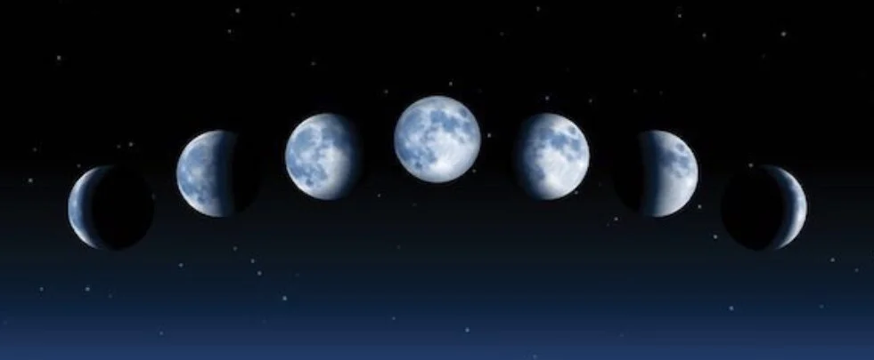 Lunar Days: "Our Minds, Our Natural Receptivity and Our Manifestation in the World" - an Online Series with Lakshman Fontaine