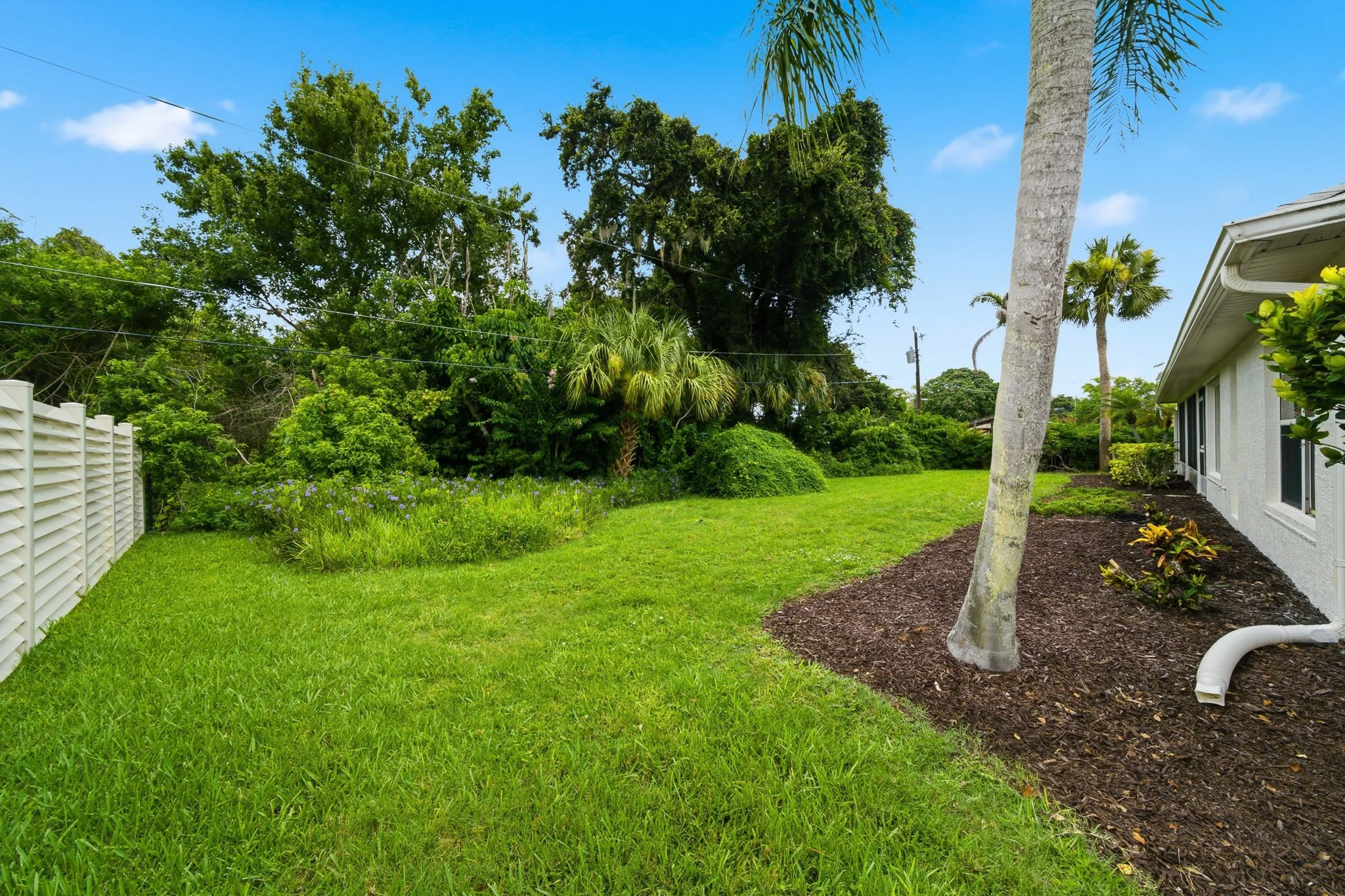 backyard 2.jpg
