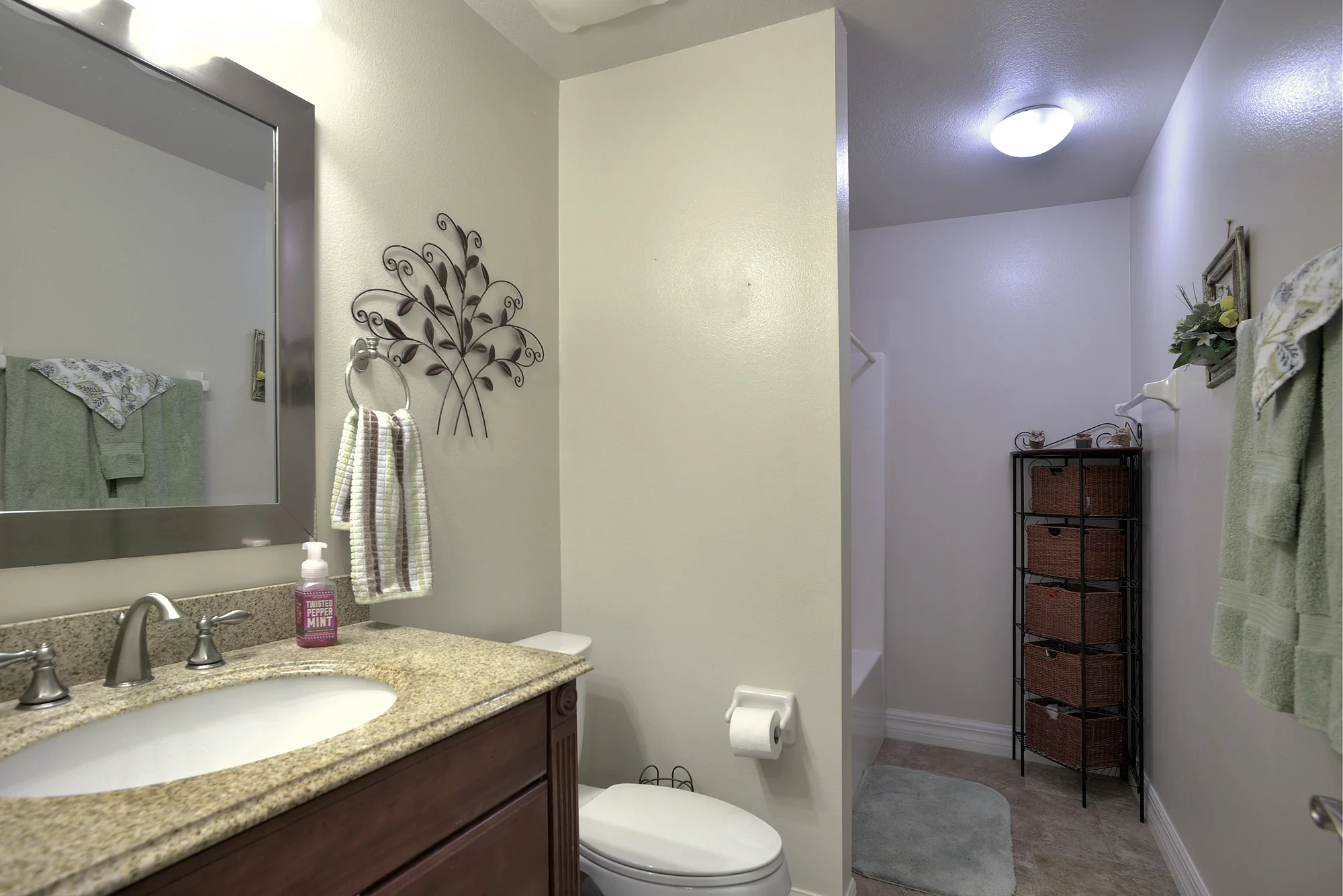 guest bath.jpg