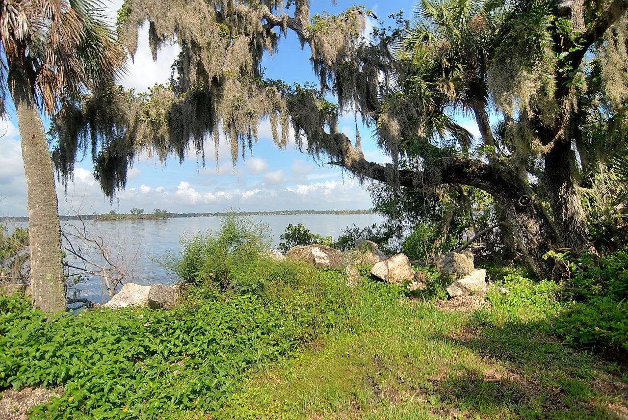 view north west2.jpg