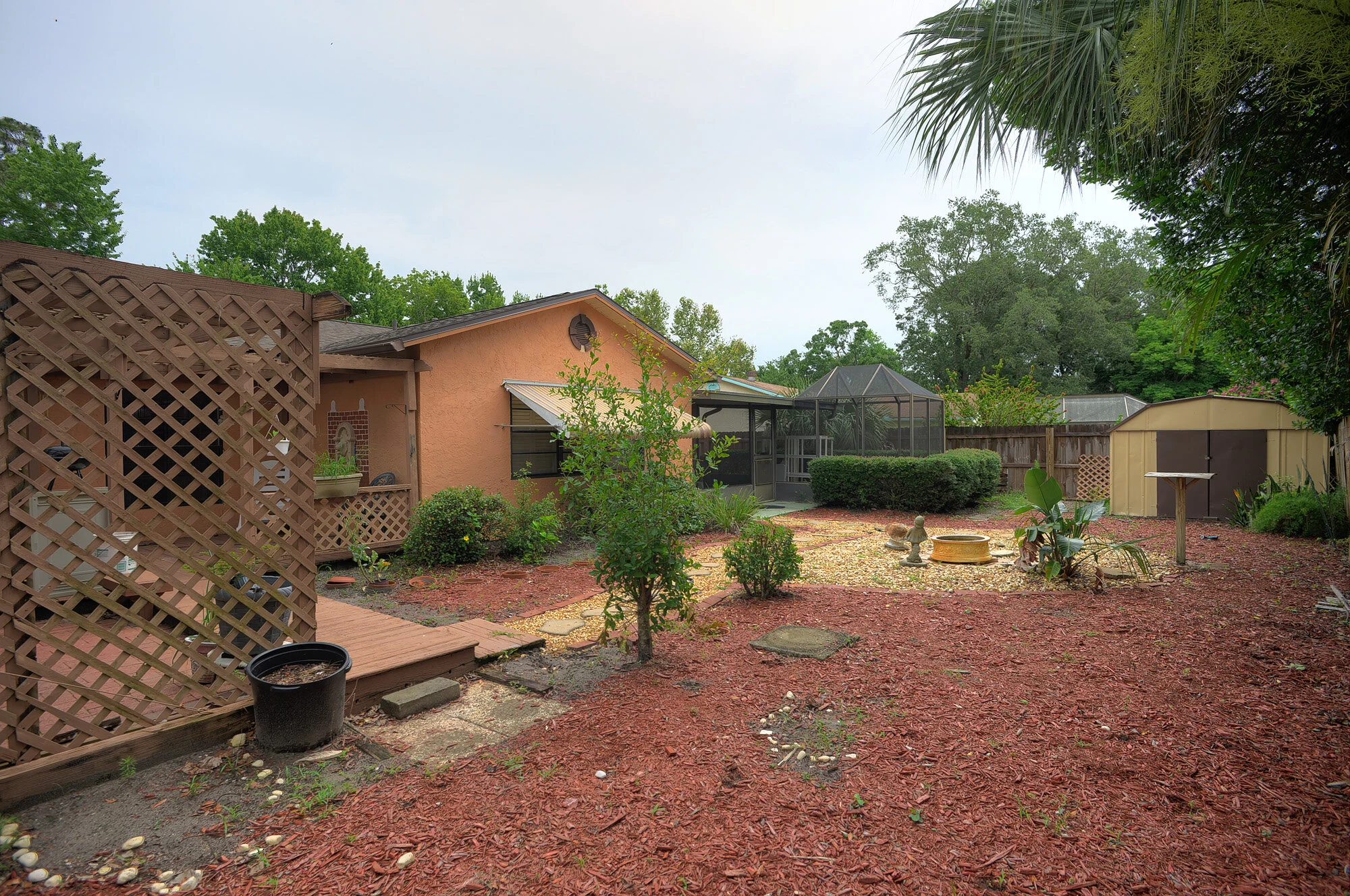 view back.jpg