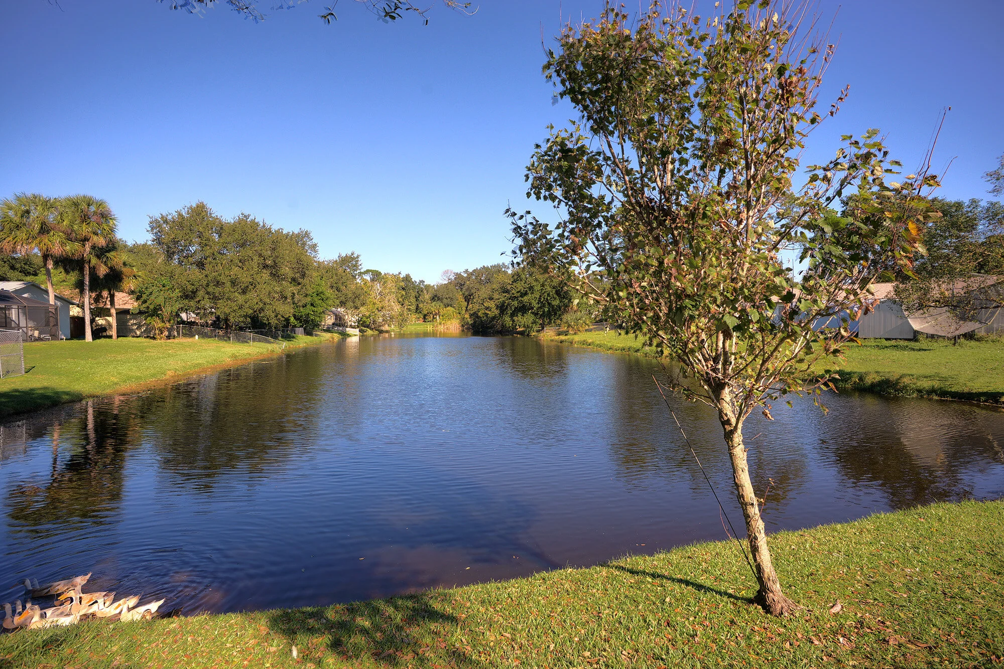 pond.jpg