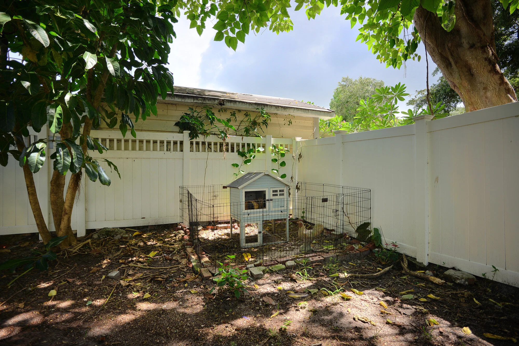 chicken coup.jpg