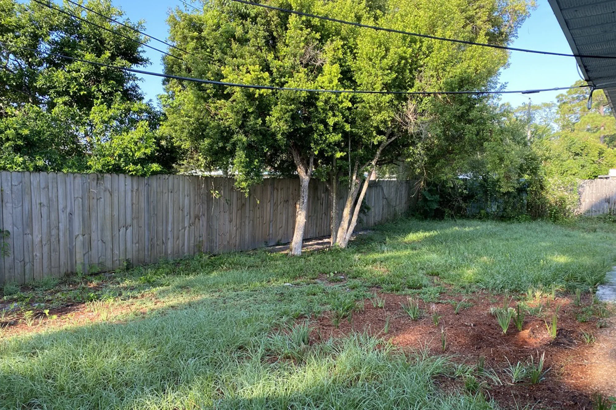 backyard.jpg