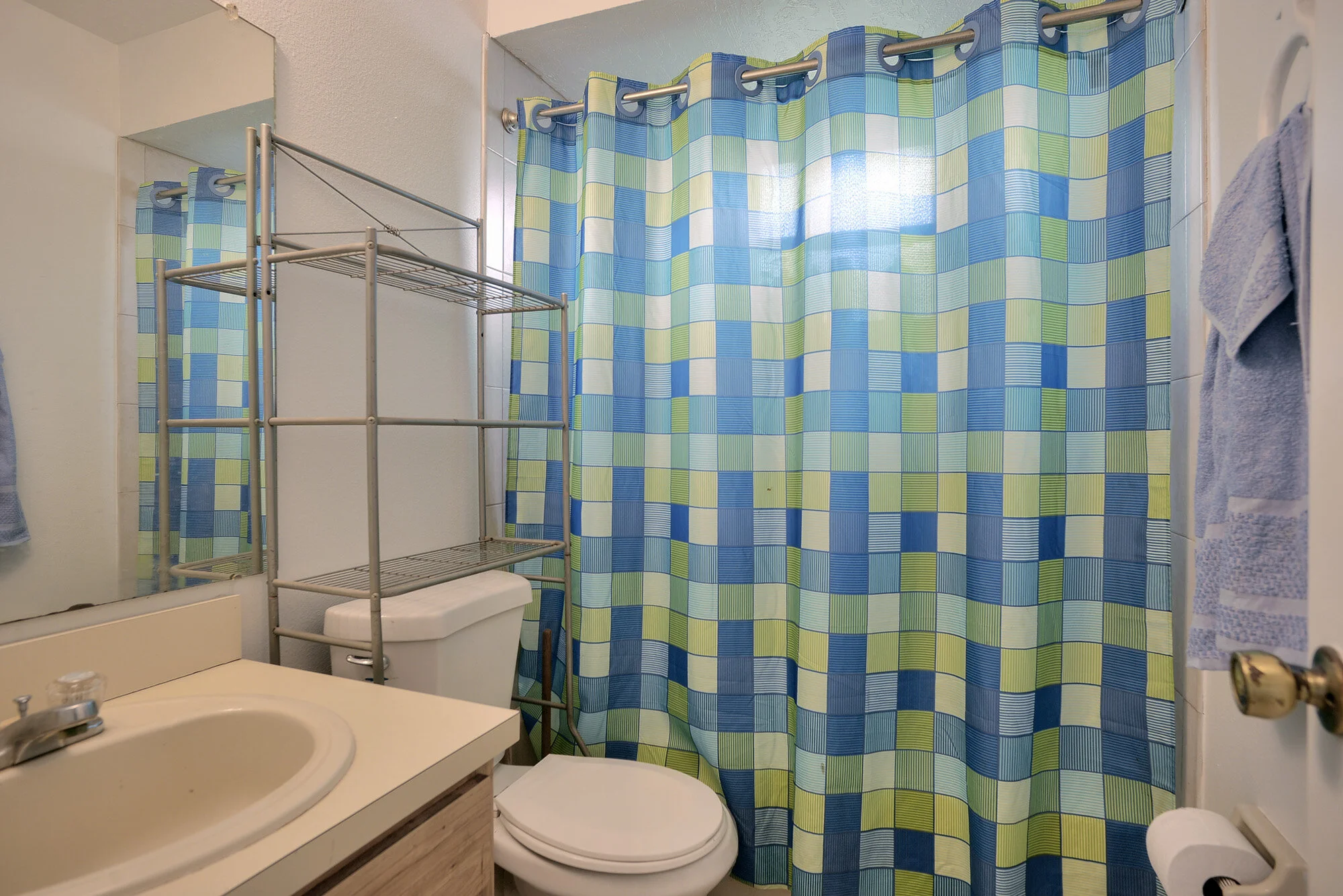 guest bath.jpg