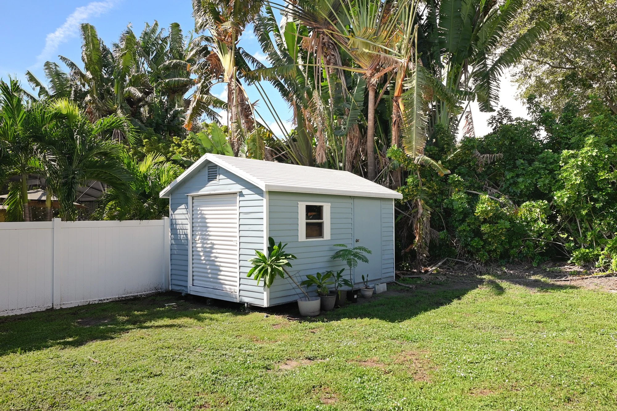 shed.jpg