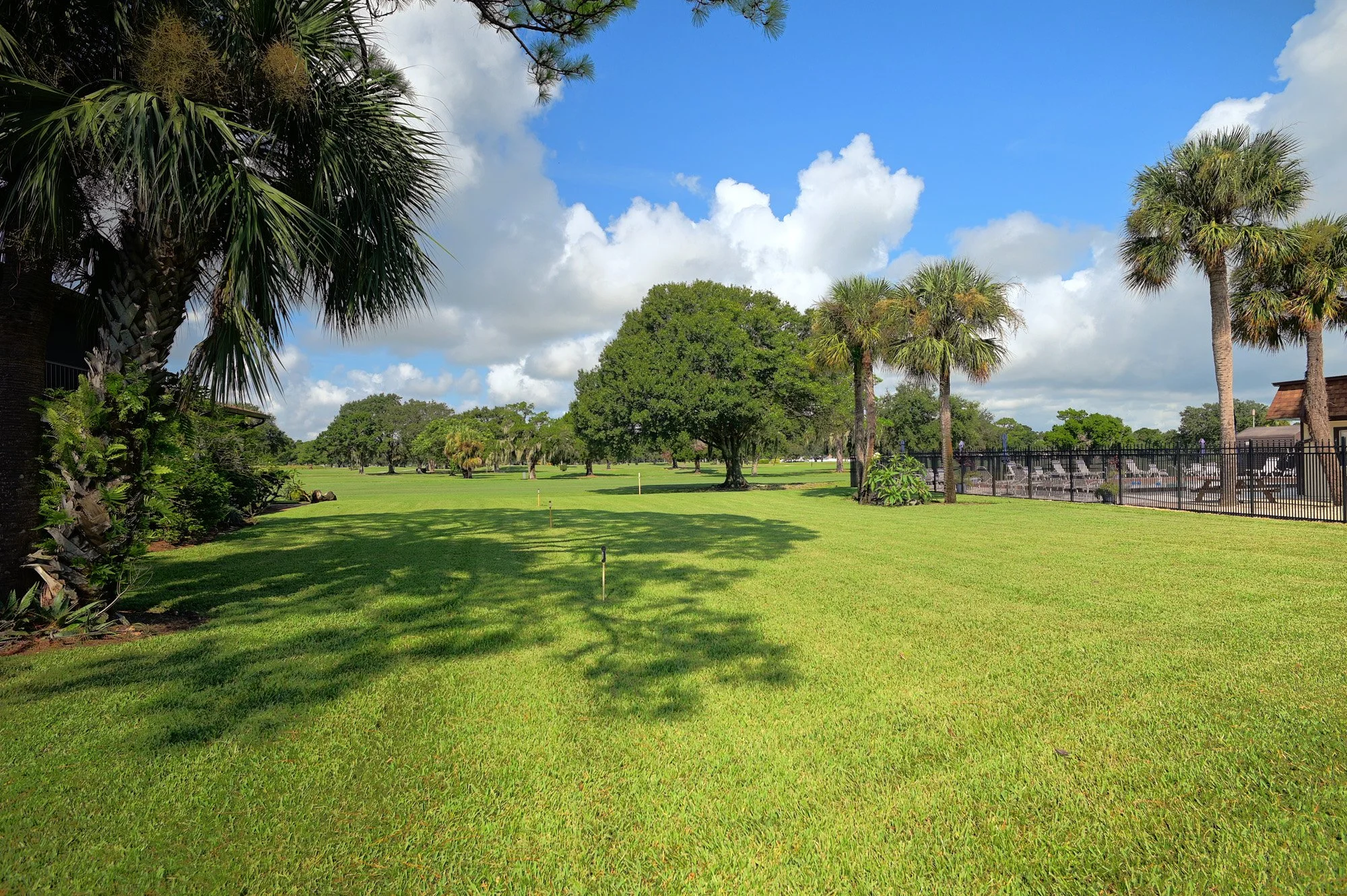 golf view.jpg