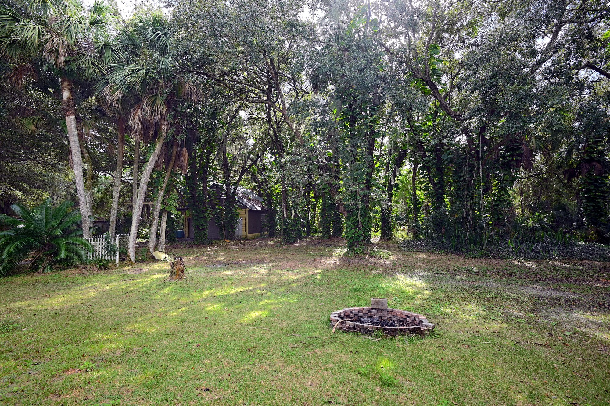 backyard 1.jpg