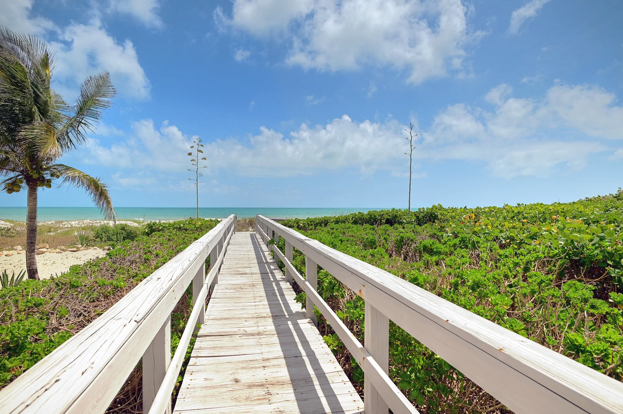 boardwalk.jpg