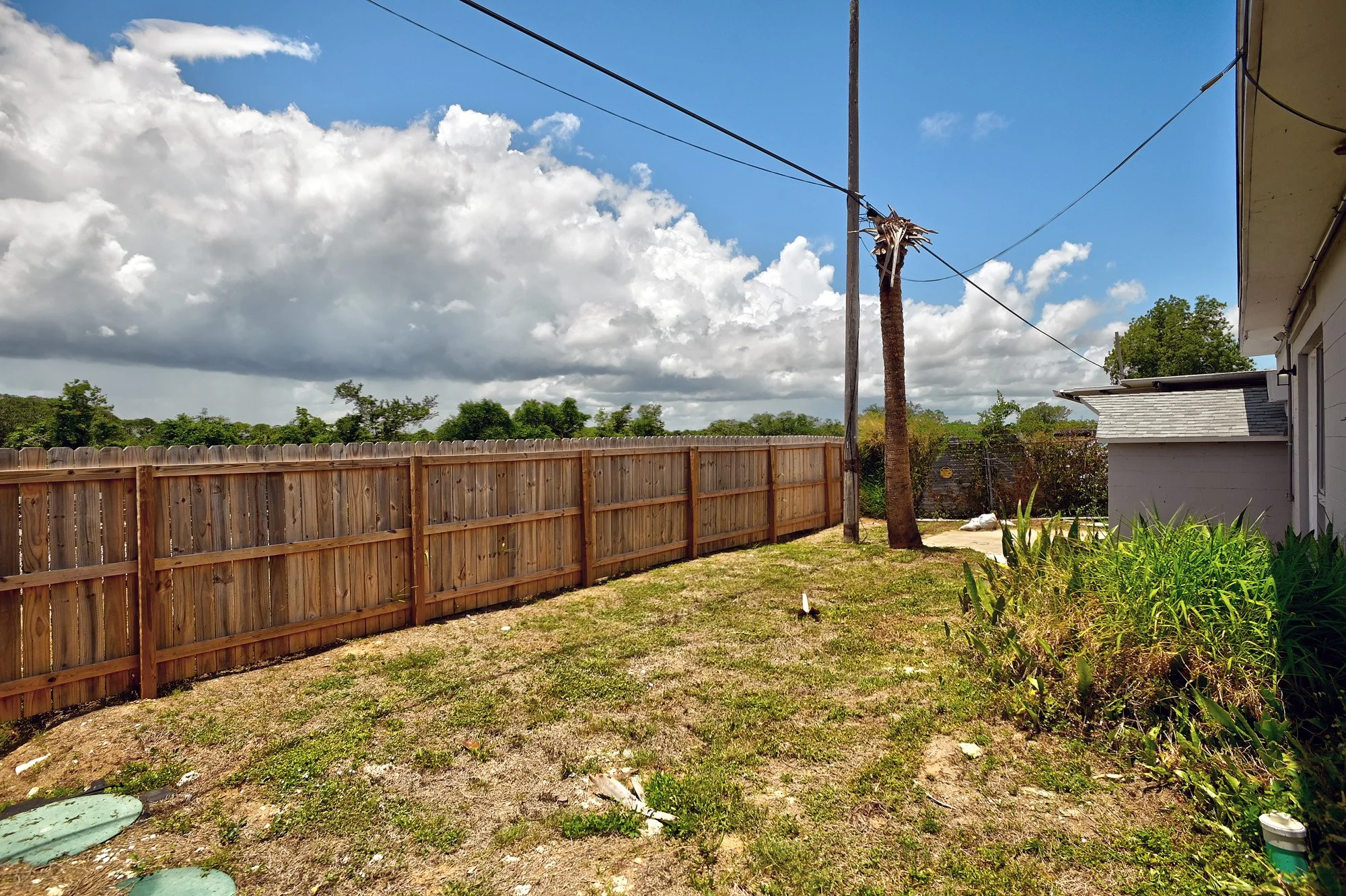 backyard.jpg