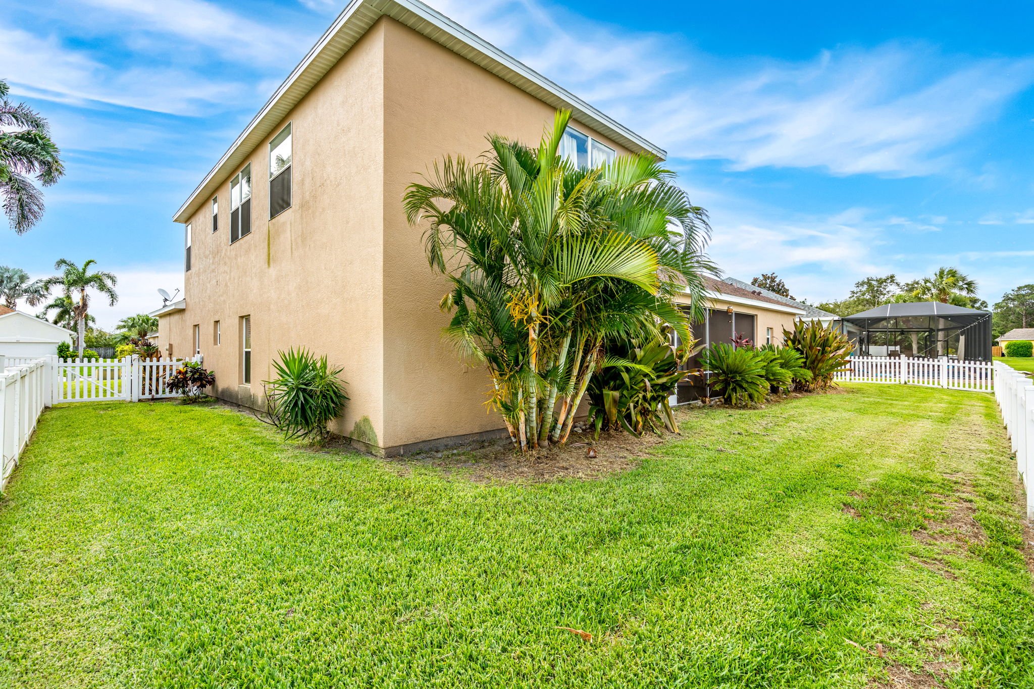 backyard 4.jpg