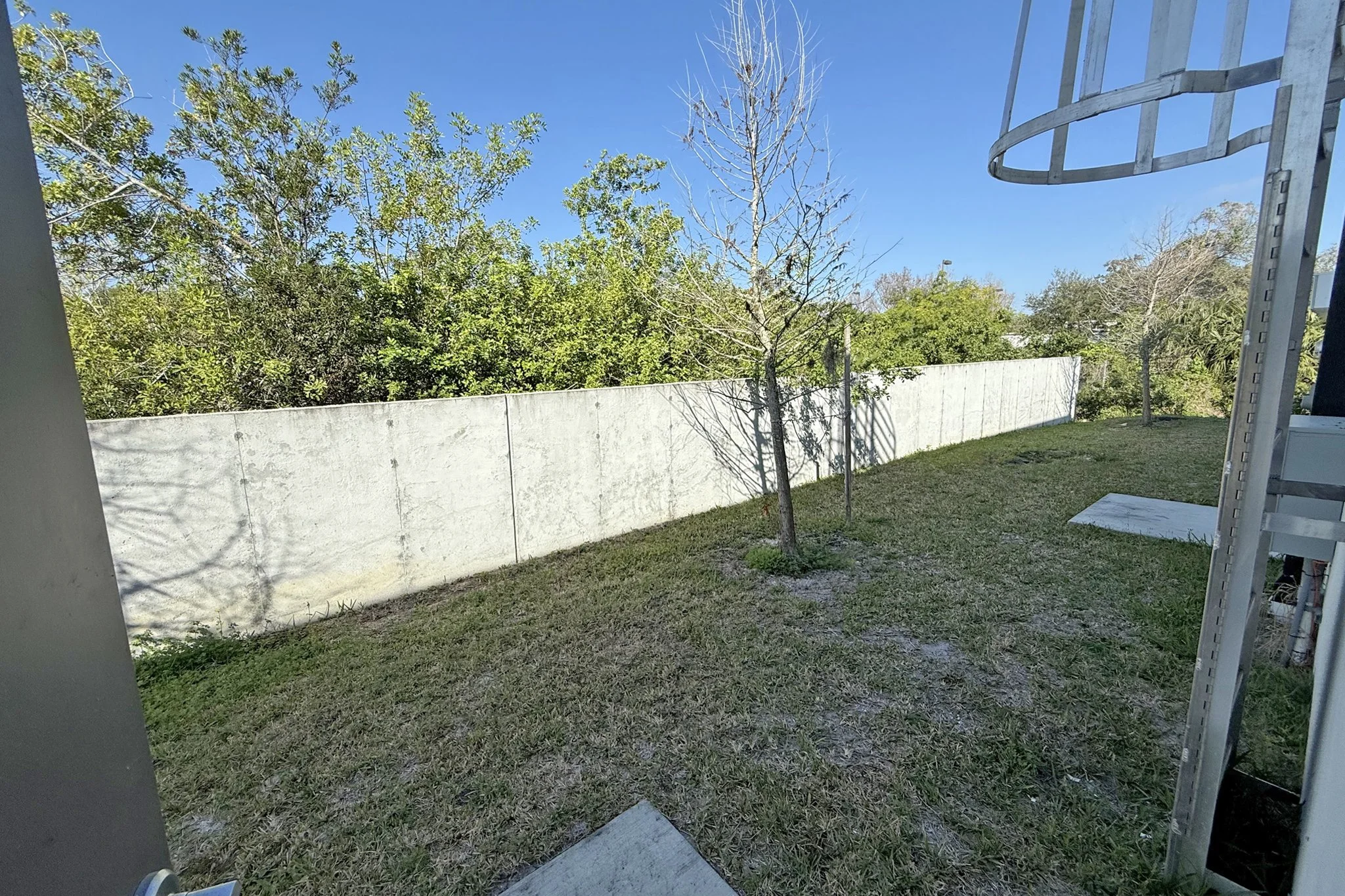 Backyard.jpg