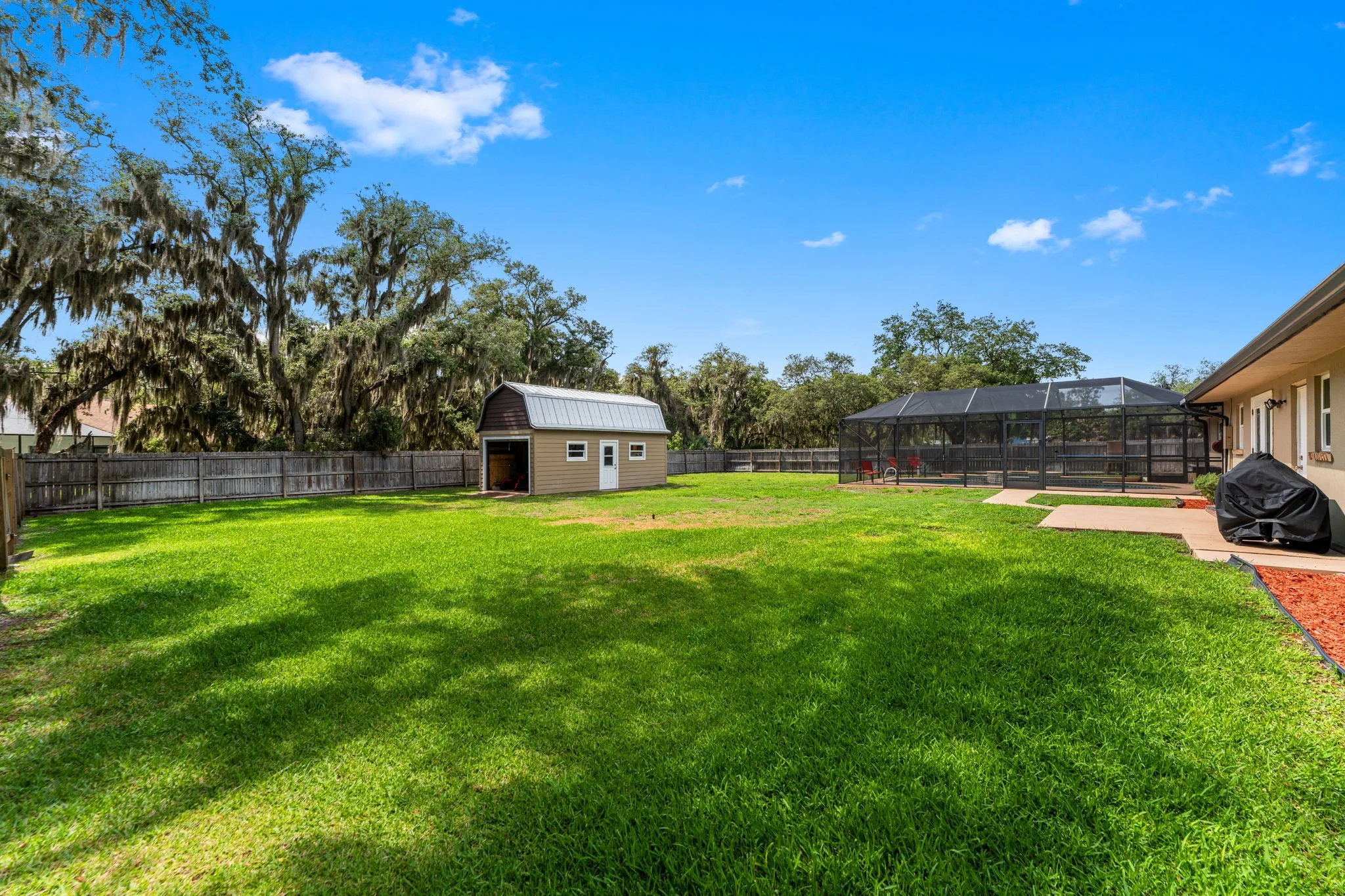 backyard 5.jpg
