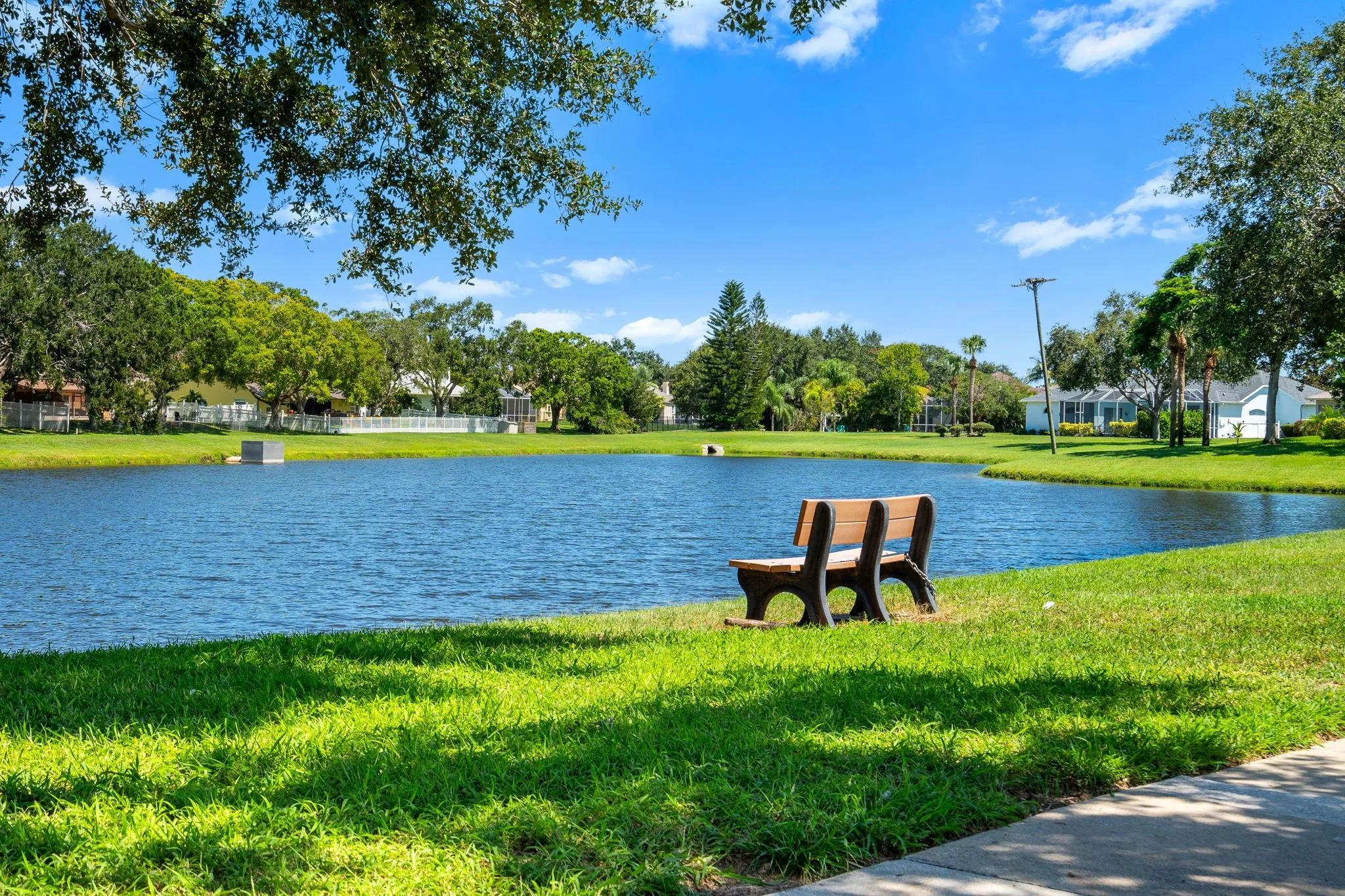 neighborhood lake.jpg