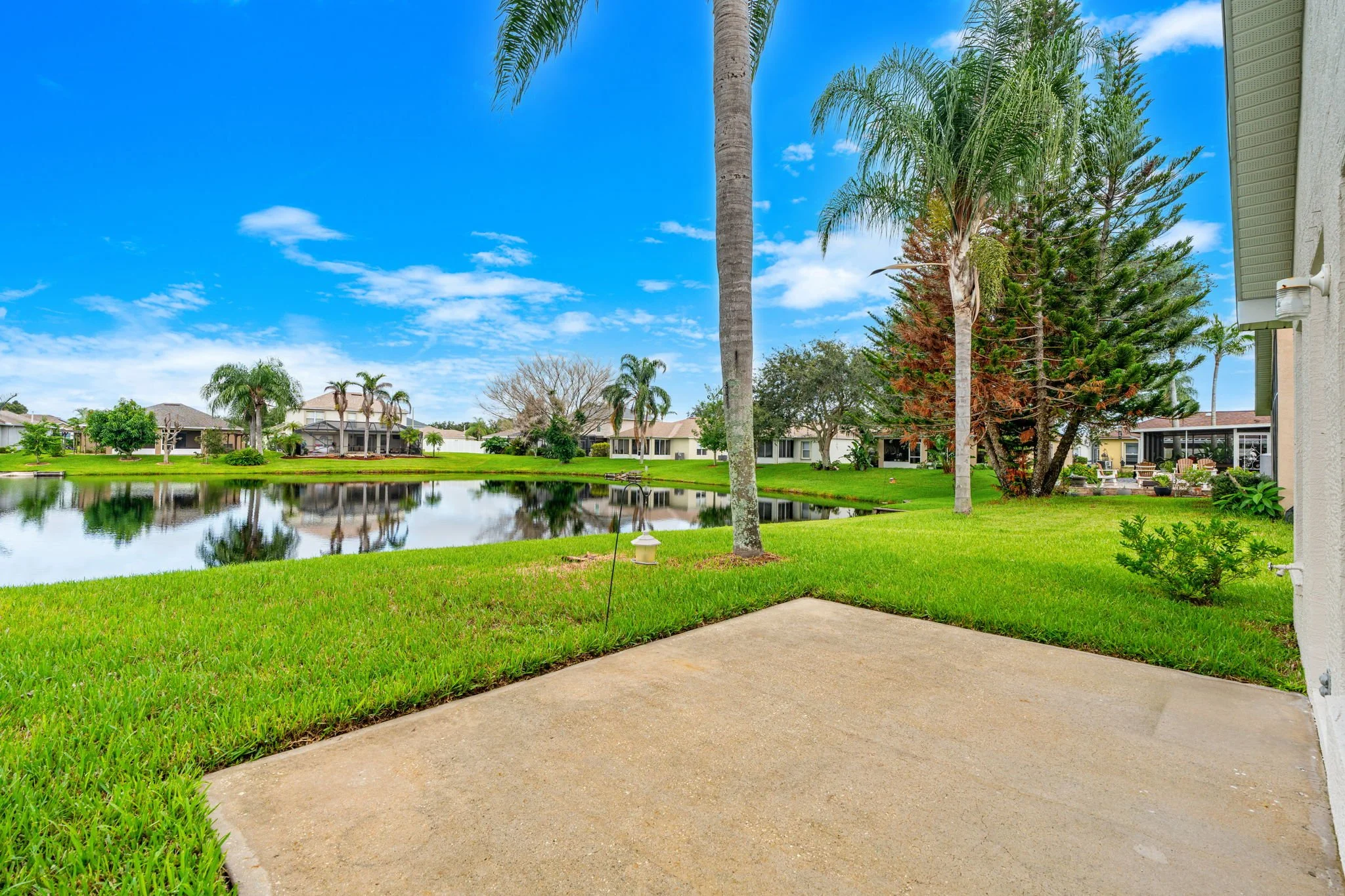 backyard 4.jpg