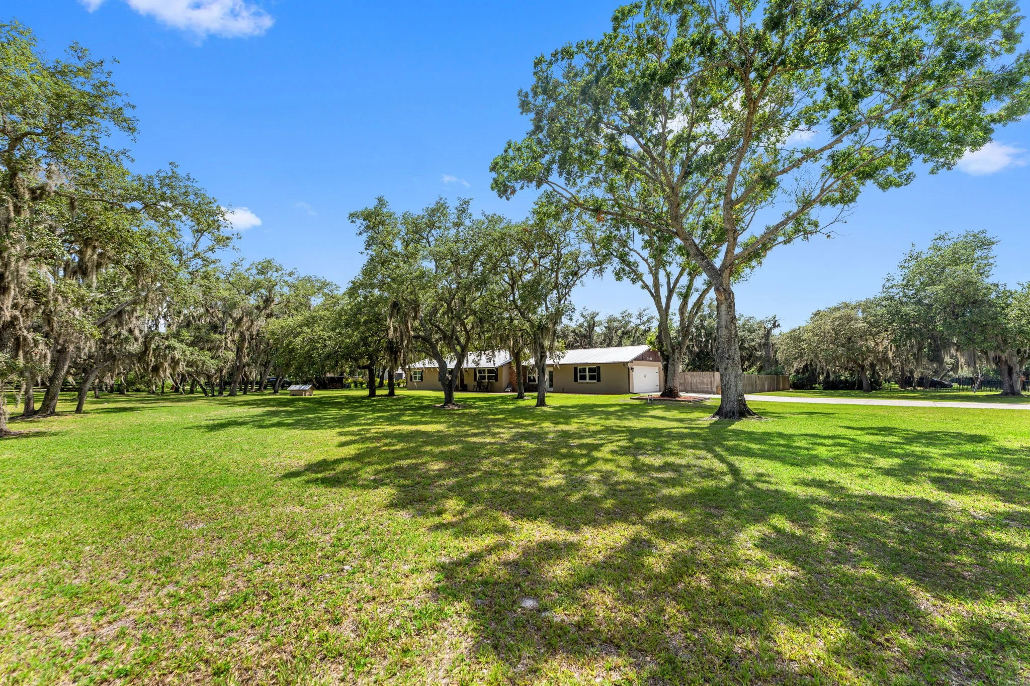 front yard.jpg