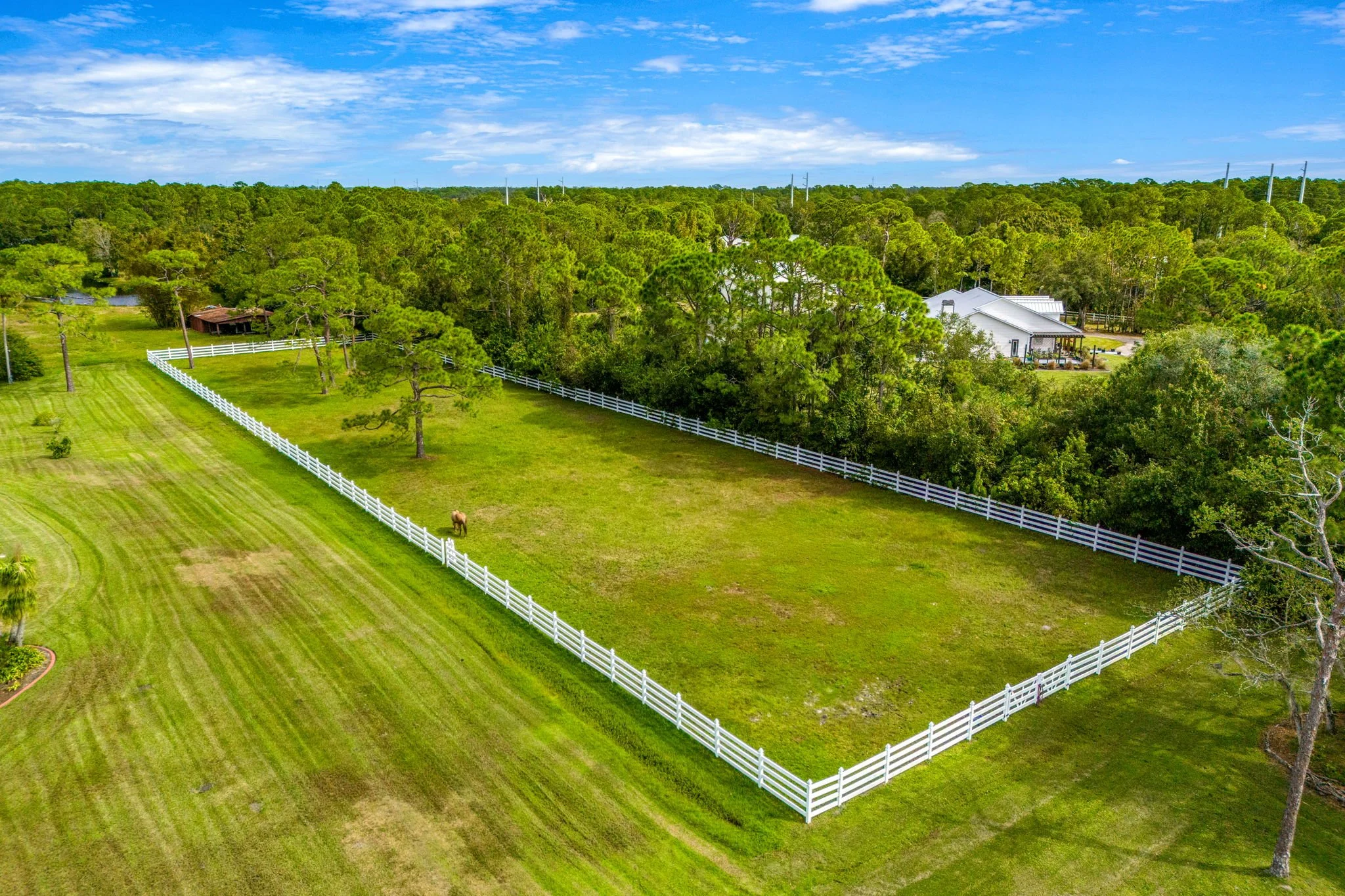 aerial 6 - horse pasture.jpg