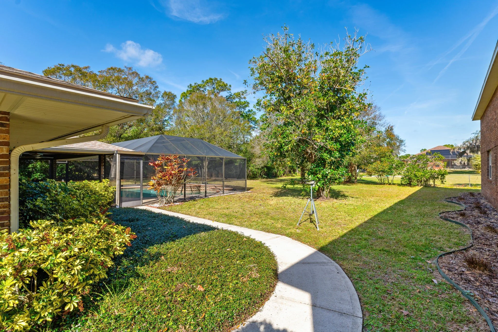 Backyard 3.jpg