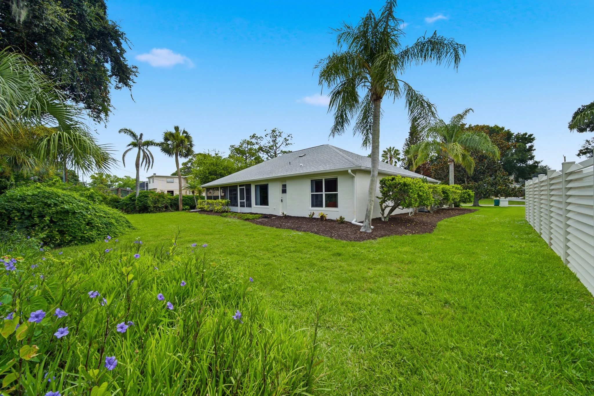 backyard 1.jpg