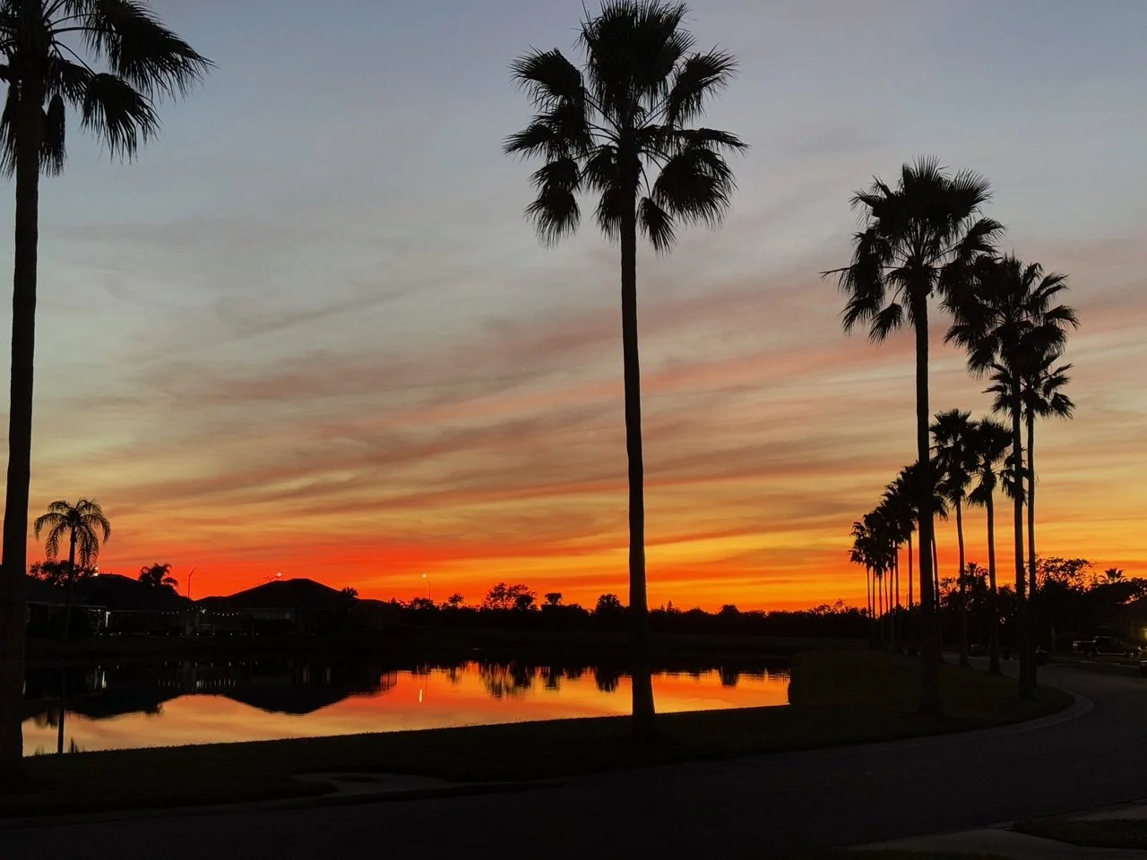 _ owner sunset.jpg
