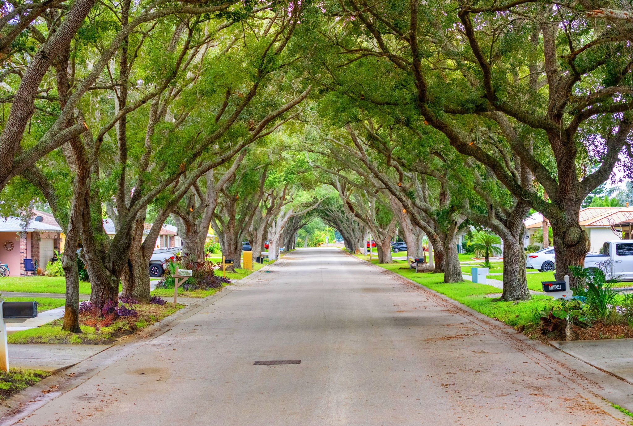 street view.jpg