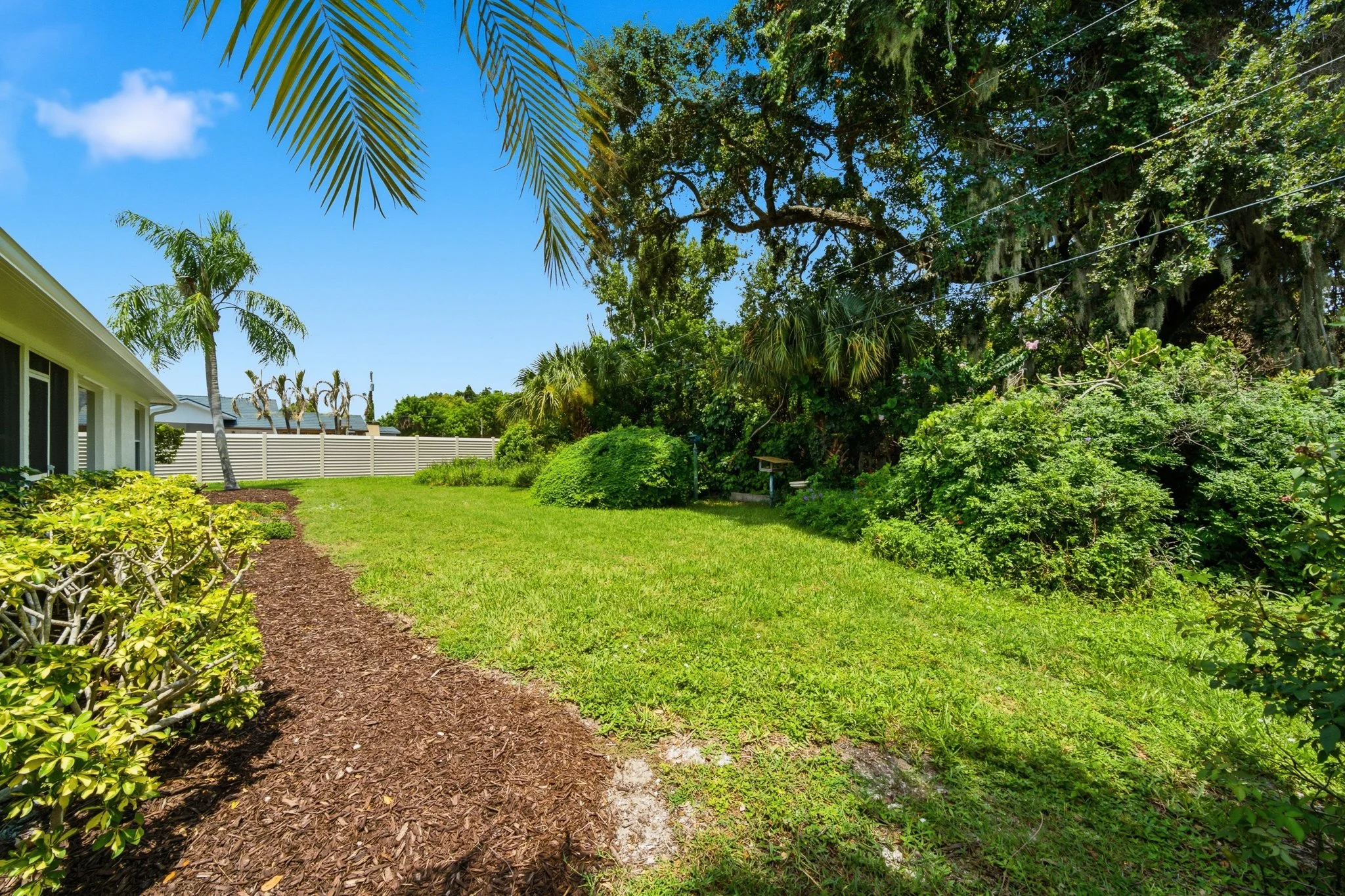 backyard 3.jpg