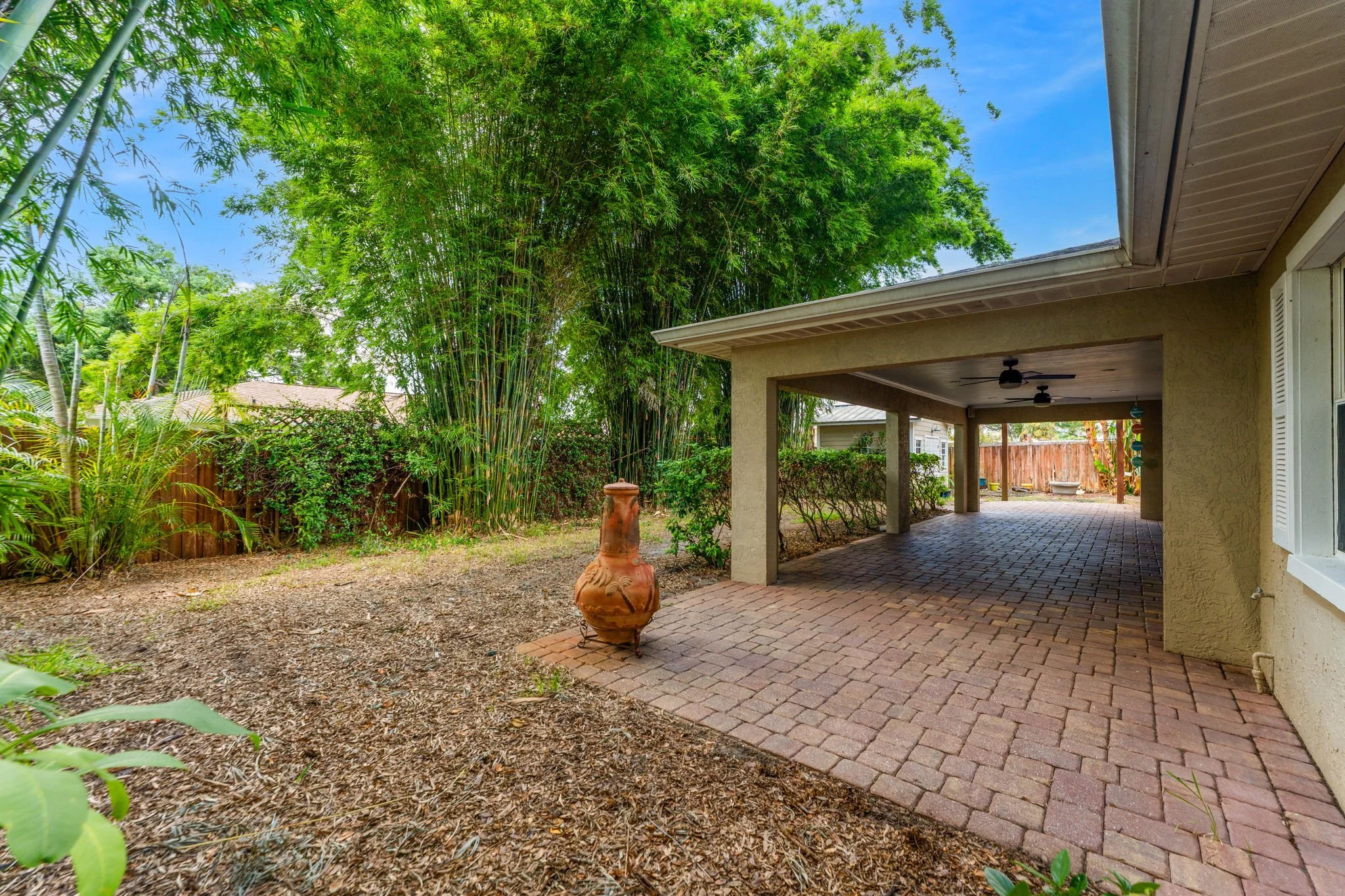 backyard 3.jpg