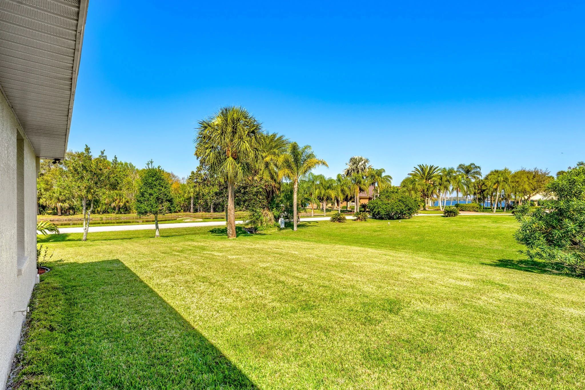 side yard.jpg