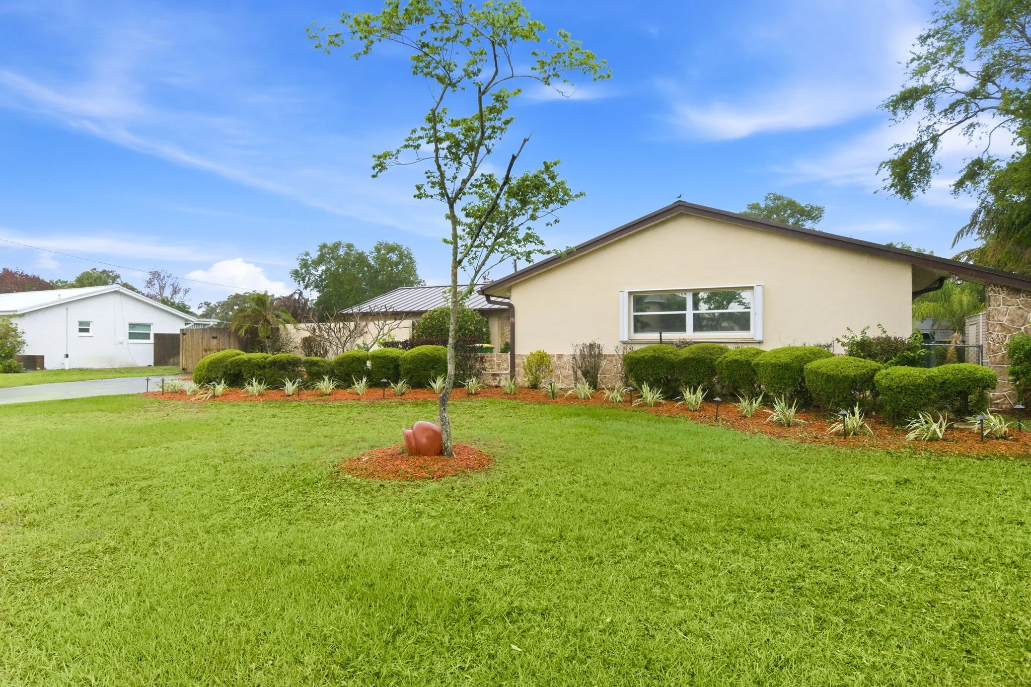 front yard 2.jpg