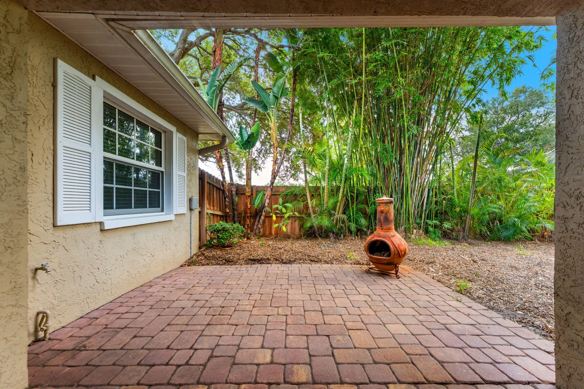 backyard 4.jpg