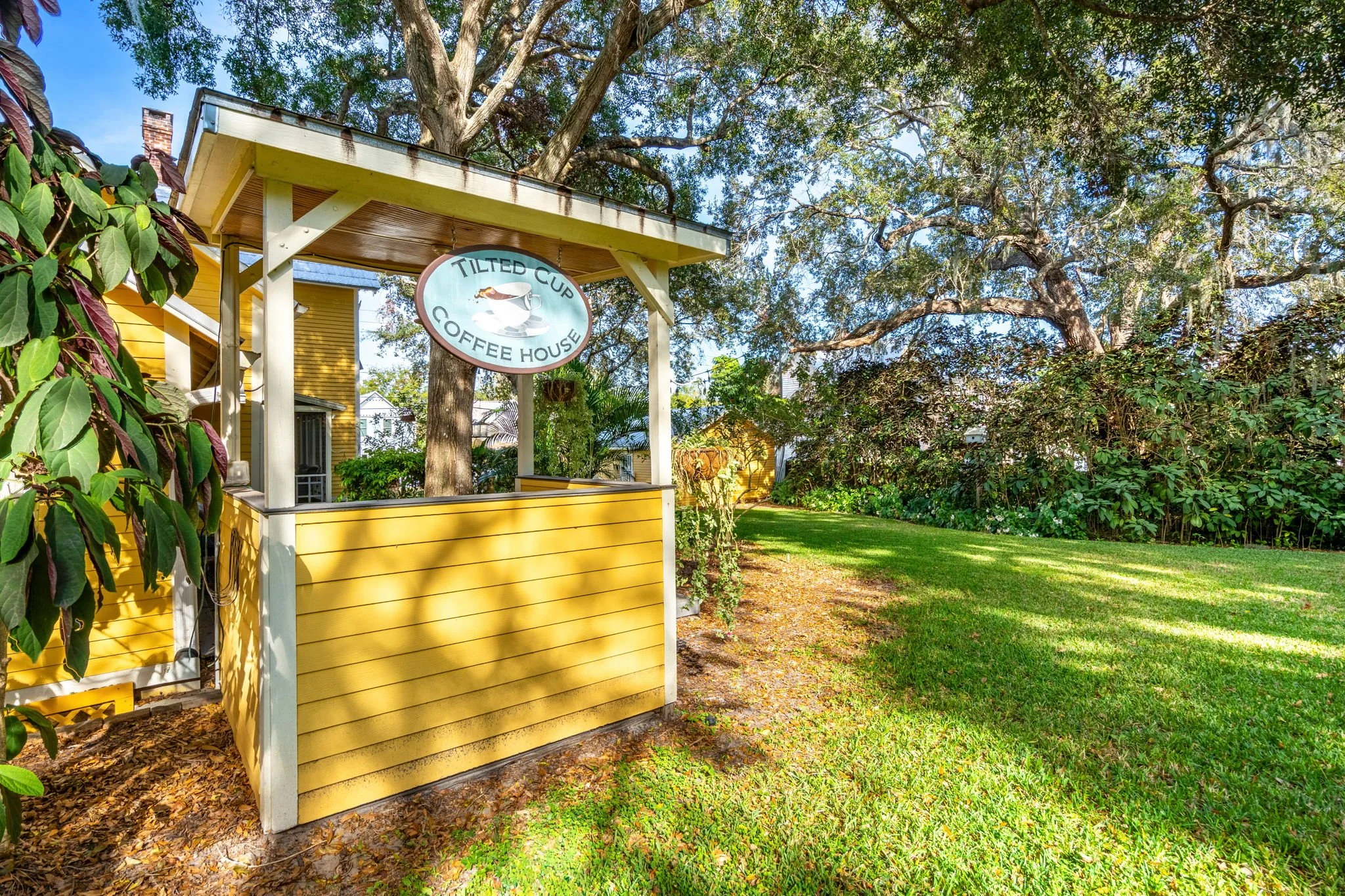 back of grilling area & side yard.jpg