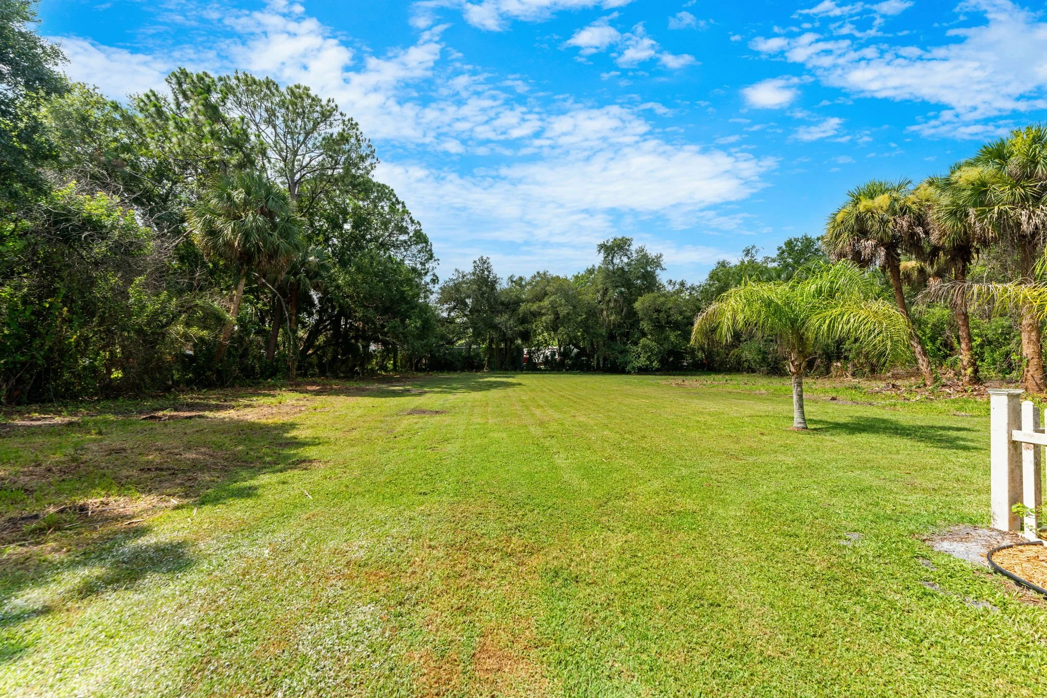 backyard 1.jpg