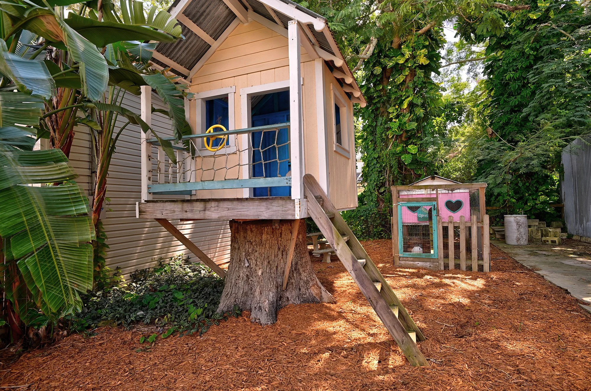 tree house.jpg